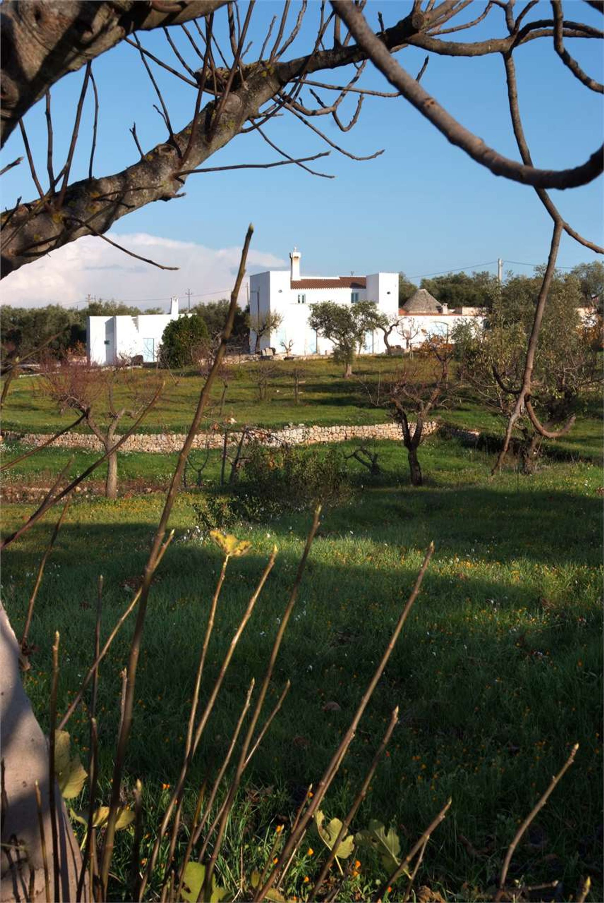 rumah dalam Castellana Grotte, Apulia 12380096