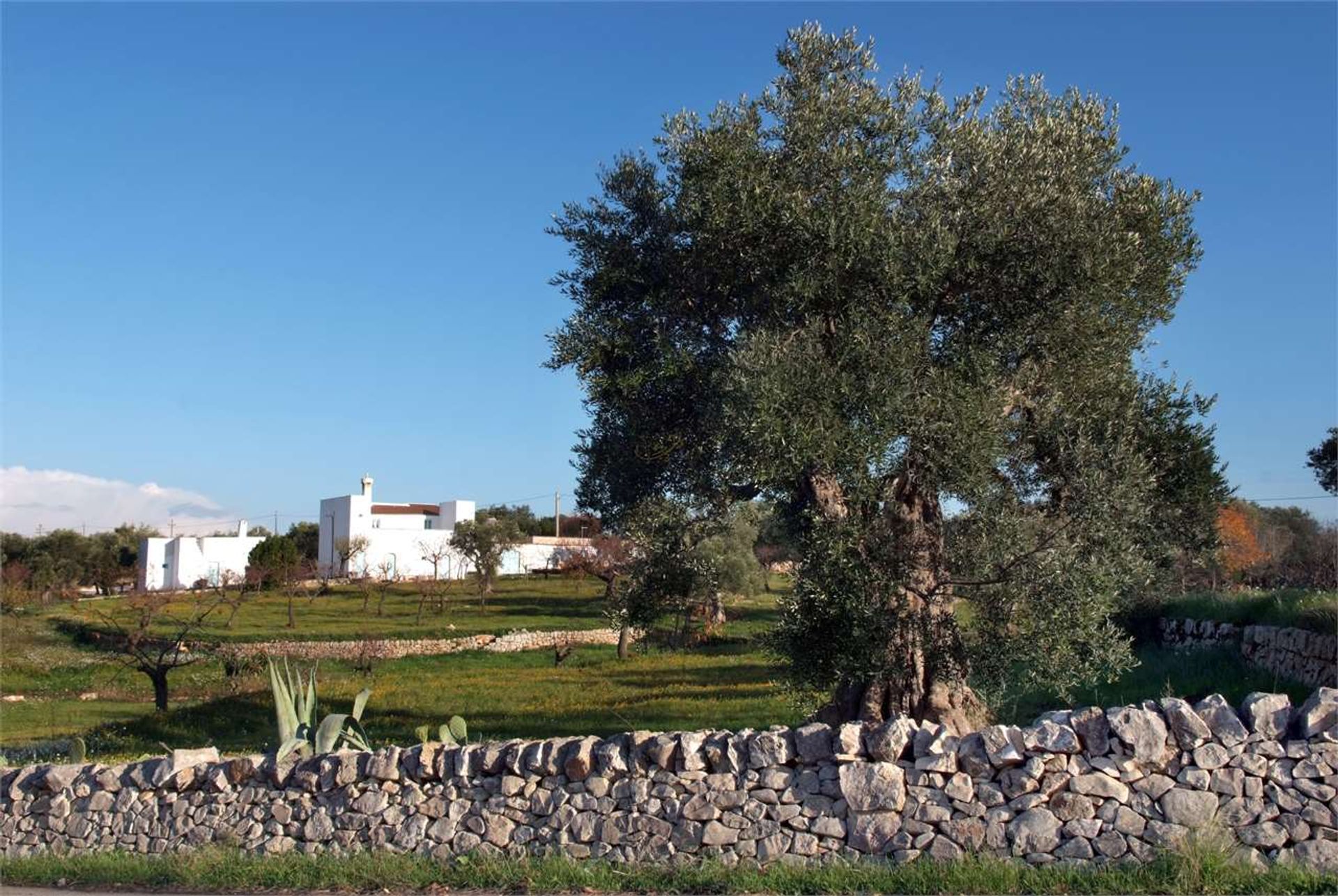 بيت في Castellana Grotte, Apulia 12380096