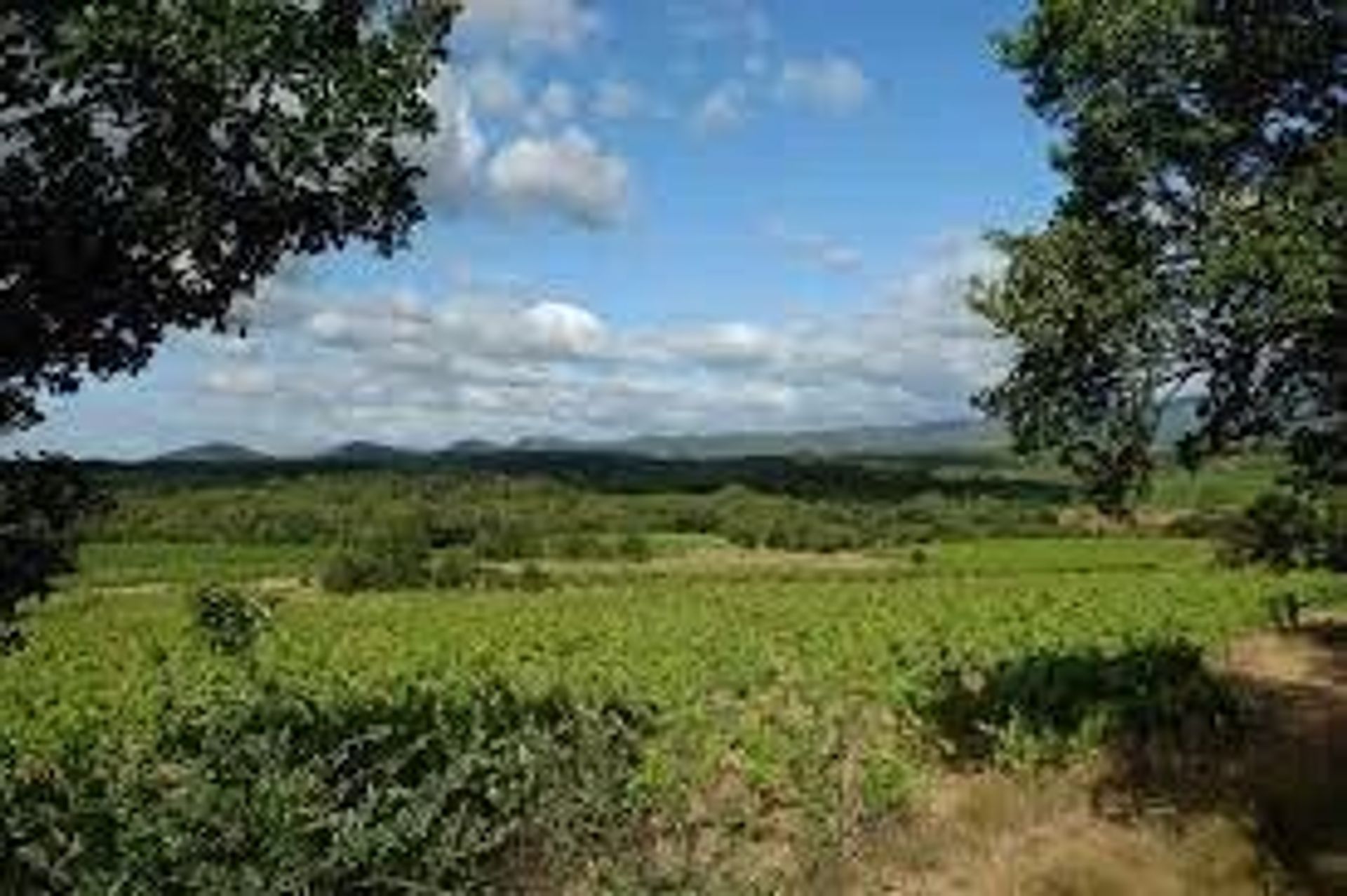 casa en Faugeres, Occitanie 12380332