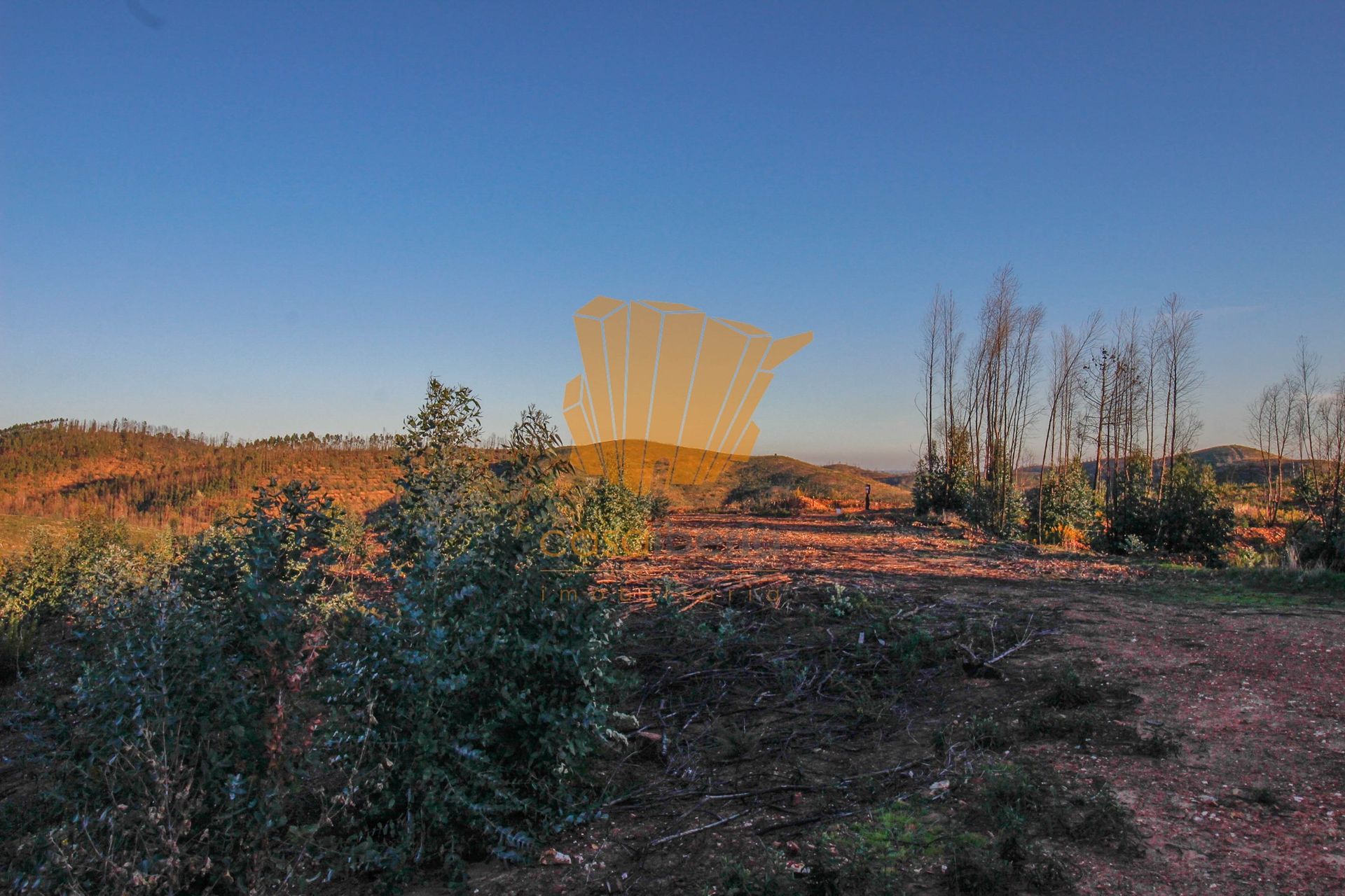 Land in Silves, Faro 12380420