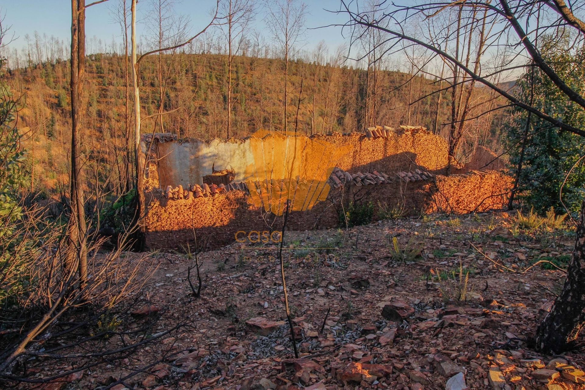 Земля в Сілвес, Фару 12380420