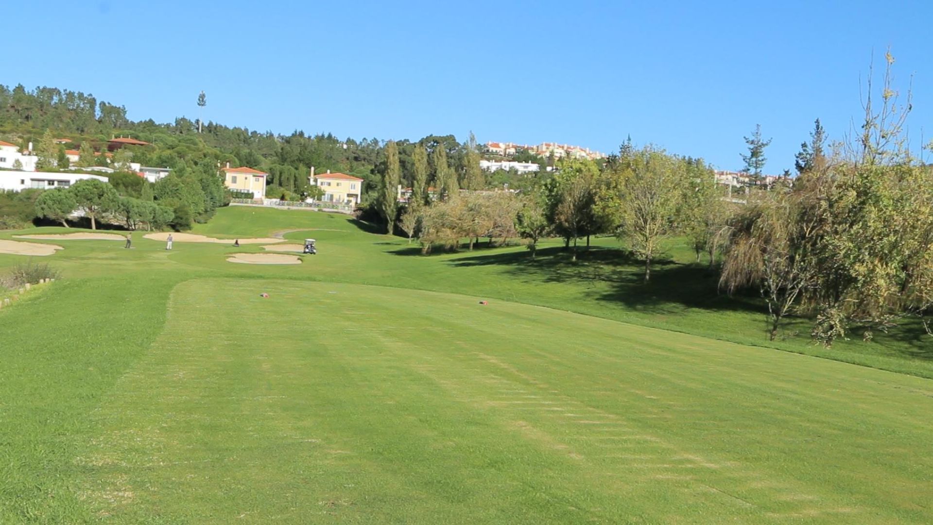 Land in Sintra, Lisbon 12380434