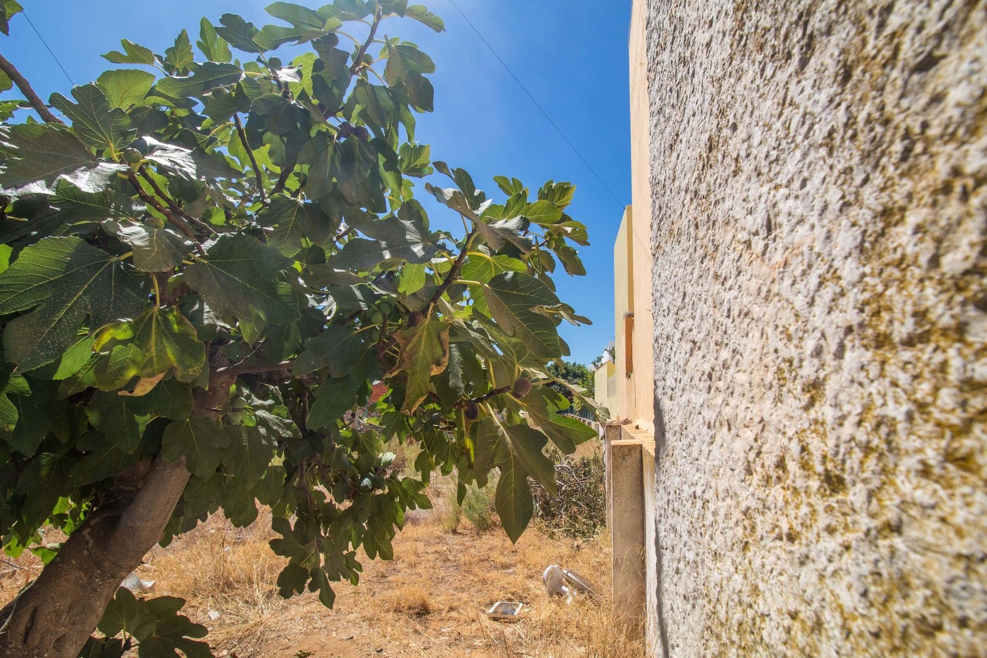 Land in Olhão, Faro District 12380476