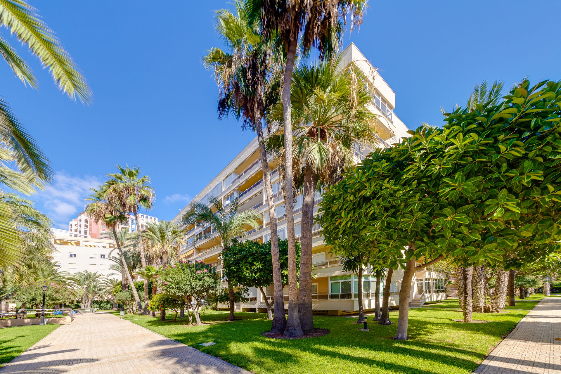 Kondominium dalam Torrevieja, Valencian Community 12380890