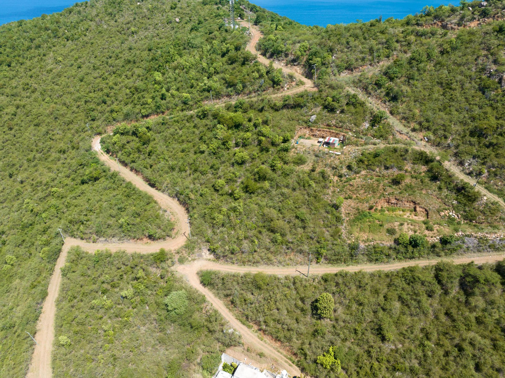 Sbarcare nel Baia dei Coralli, Isole Vergini 12381016