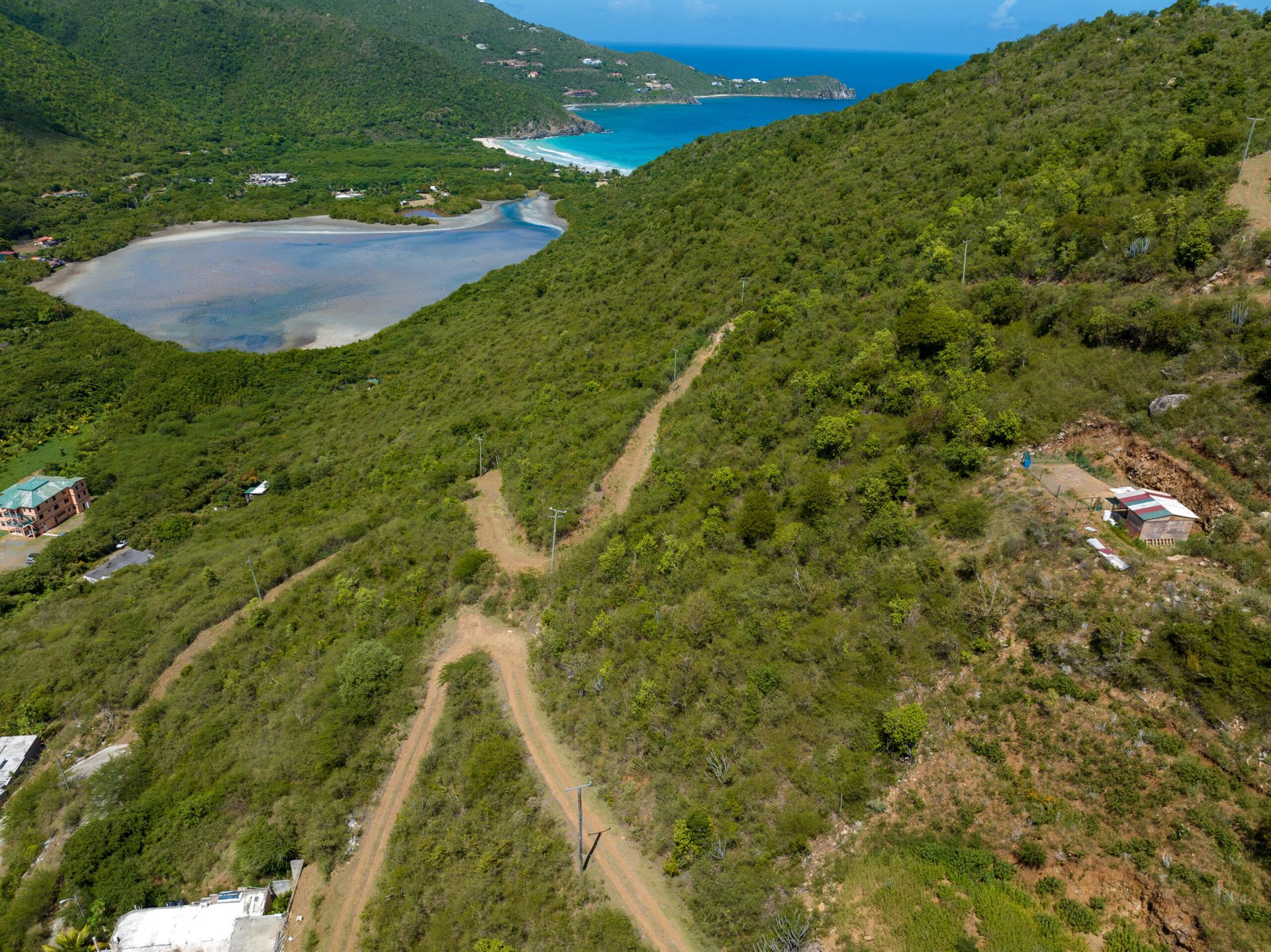 Sbarcare nel Baia dei Coralli, Isole Vergini 12381016