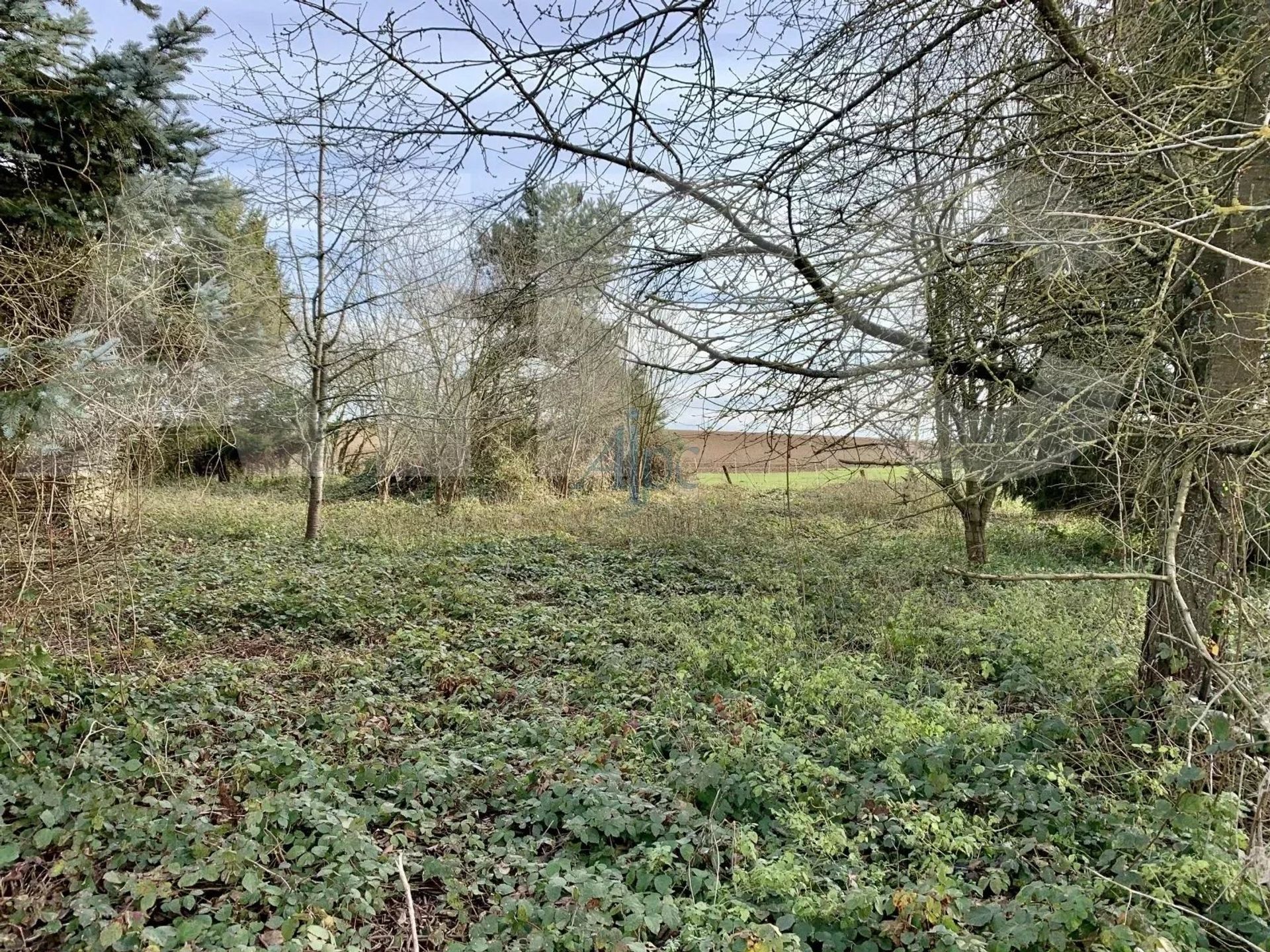 Sbarcare nel Santi, Île-de-France 12381295