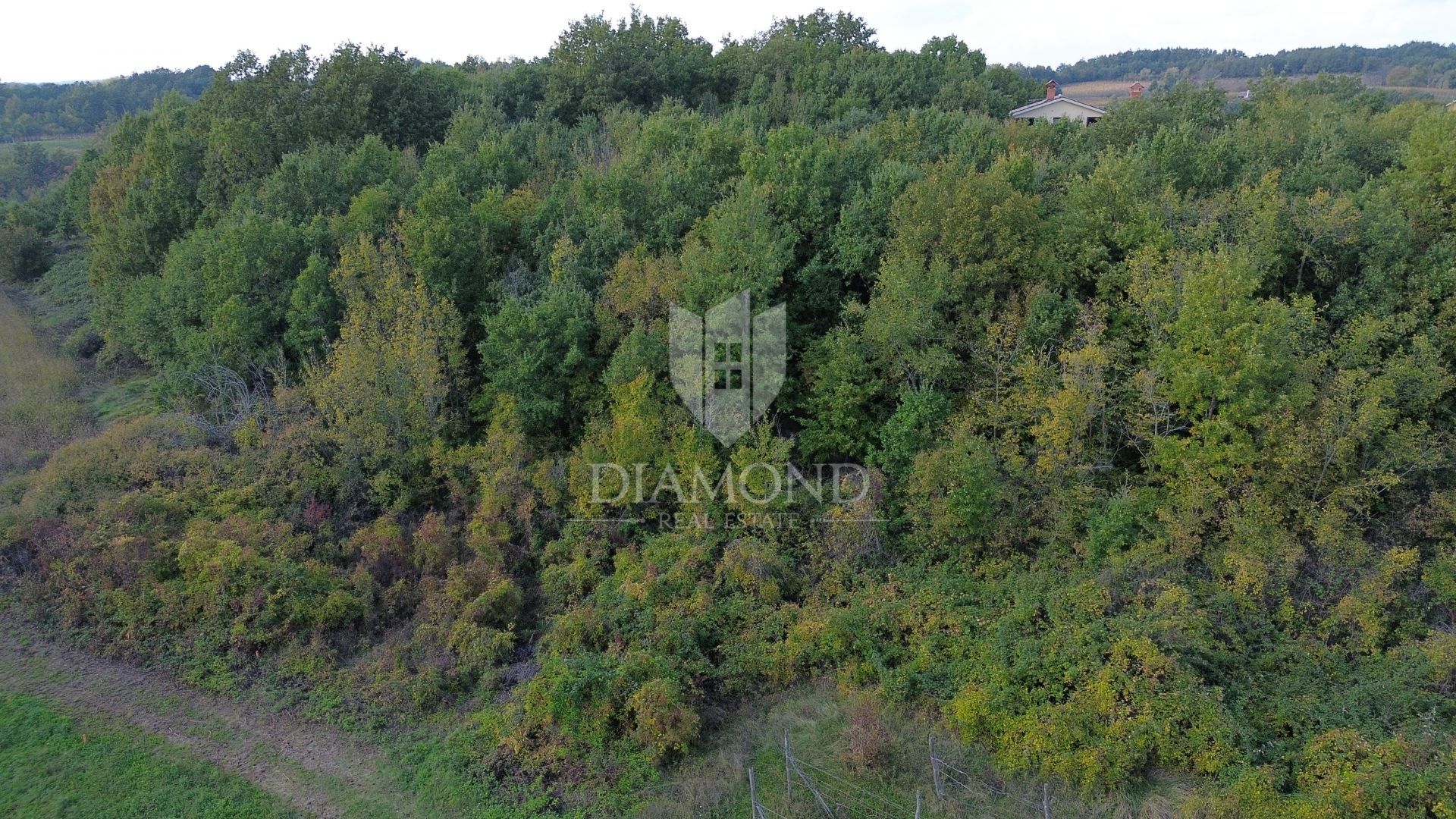 Land in Gracisce, Istarska Zupanija 12382245