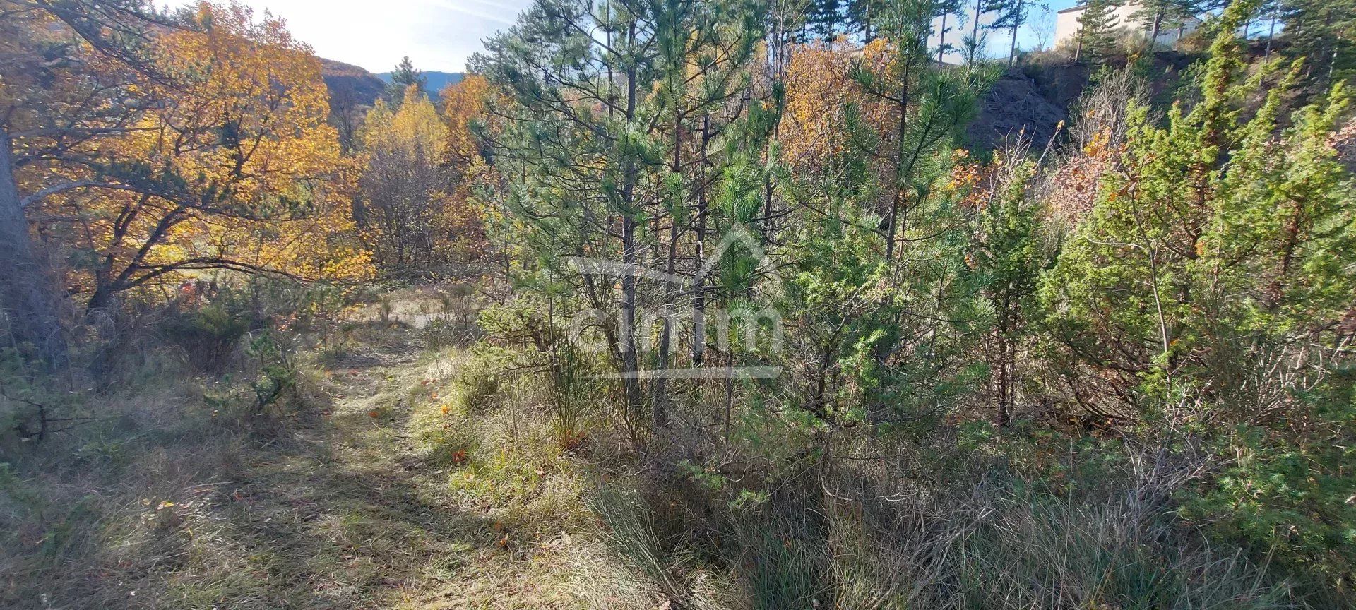 Kommerziell im Bevons, Alpes-de-Haute-Provence 12383216