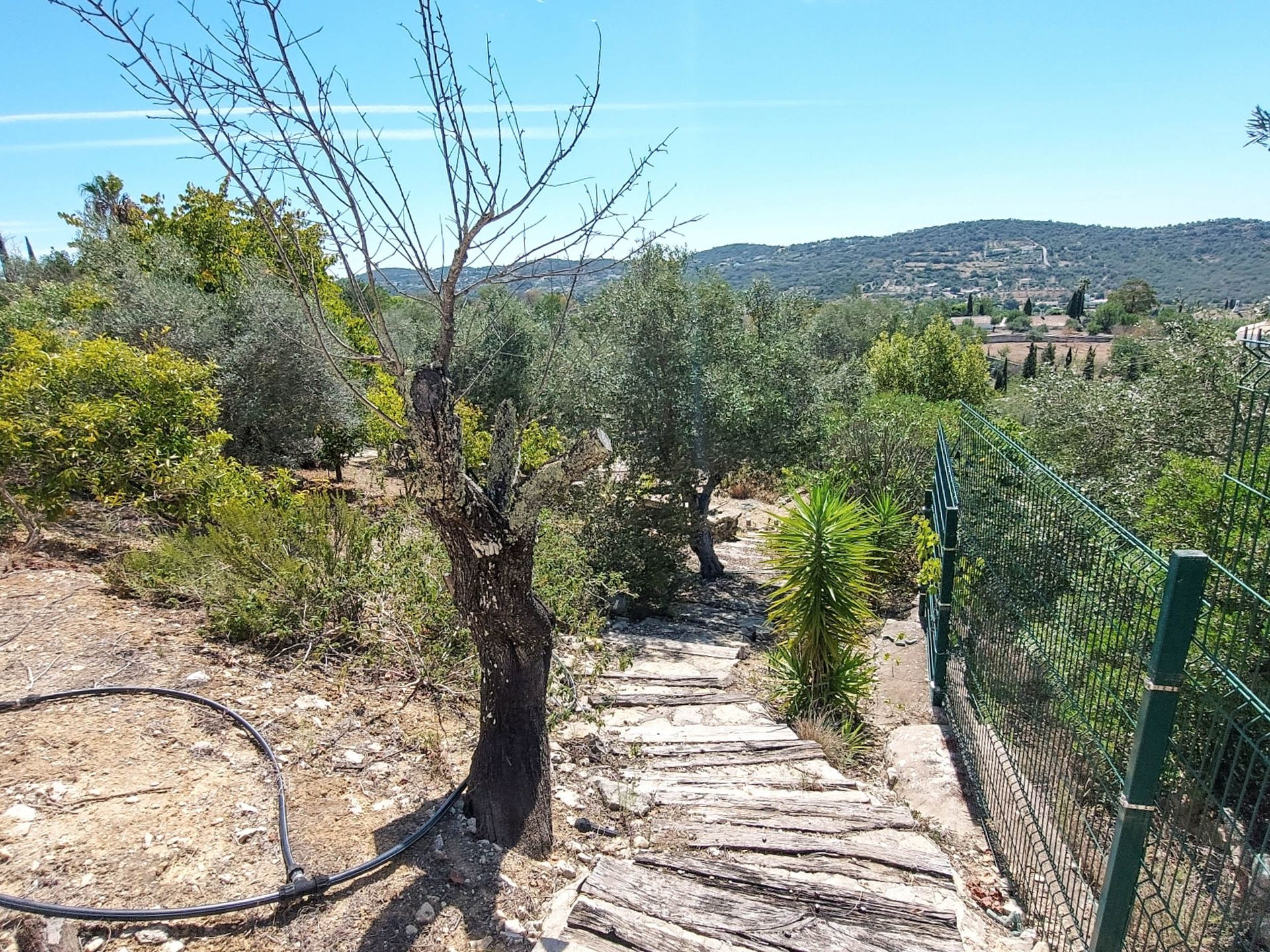 loger dans São Brás de Alportel, Faro District 12383491