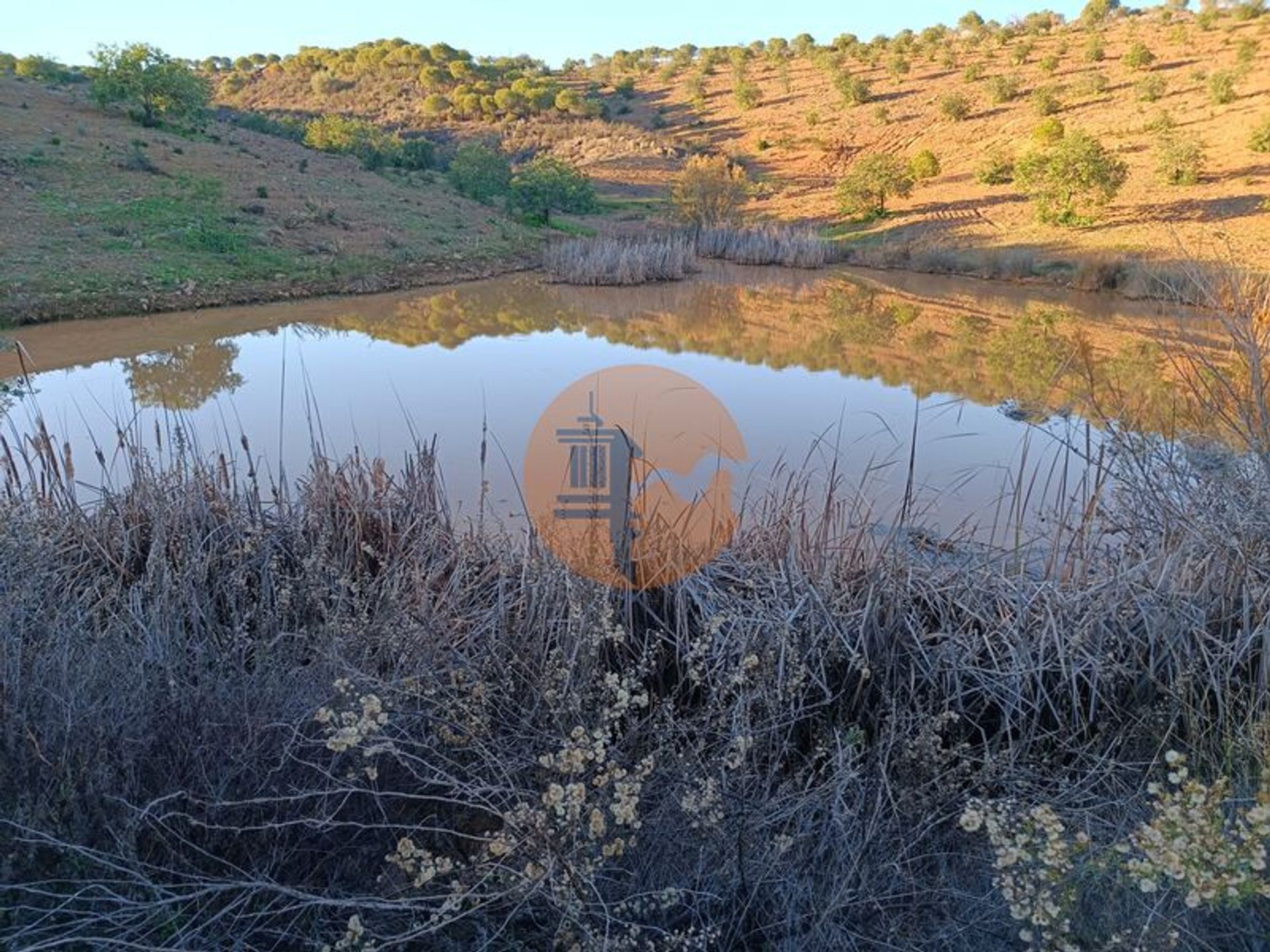 Tierra en Odeleite, Faro 12383540