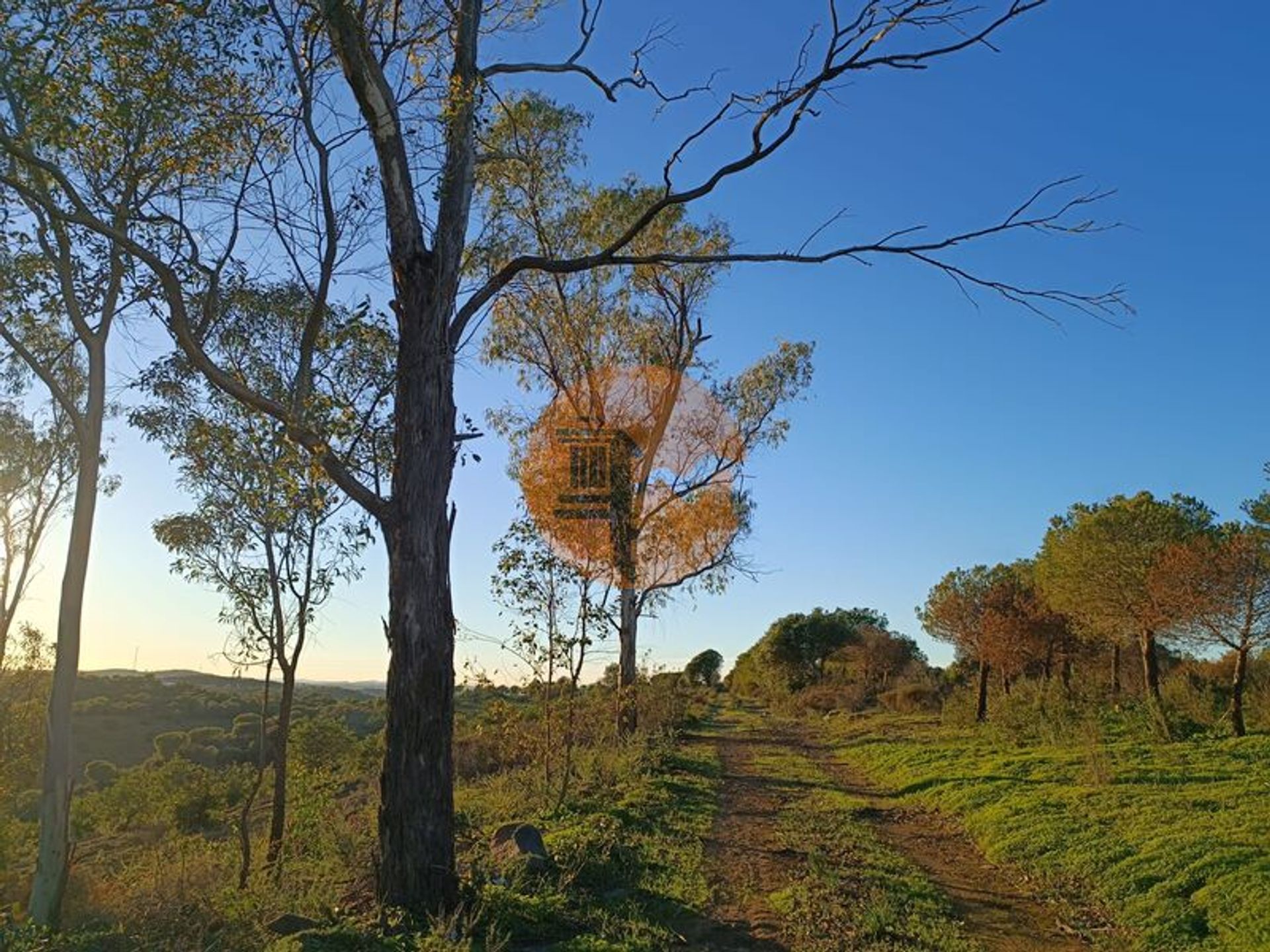 Tierra en Odeleite, Faro 12383540