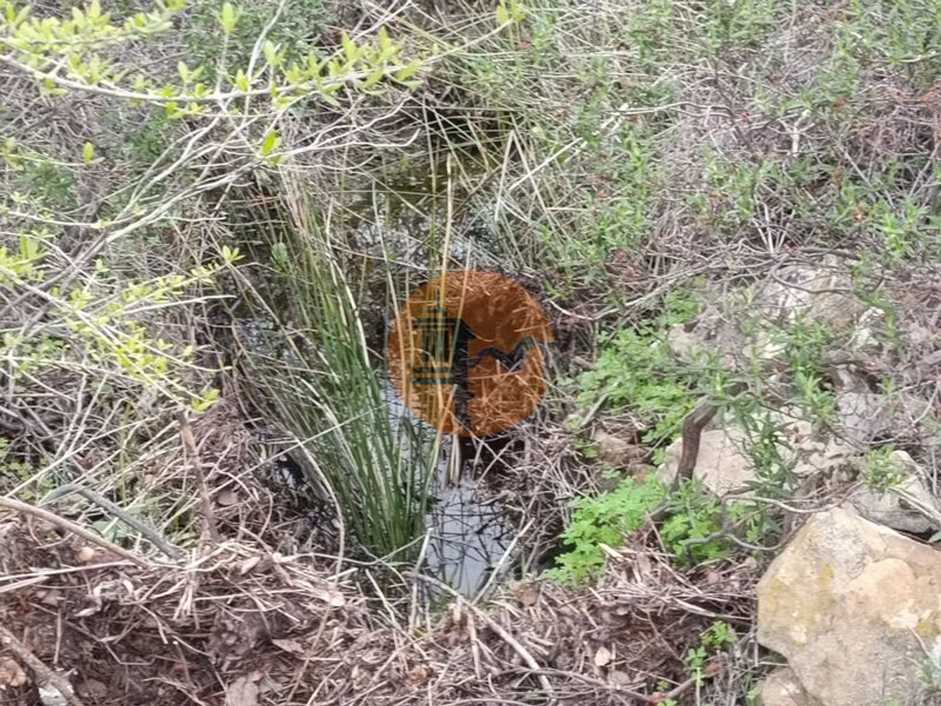 土地 在 阿爾庫廷, 法魯 12383541