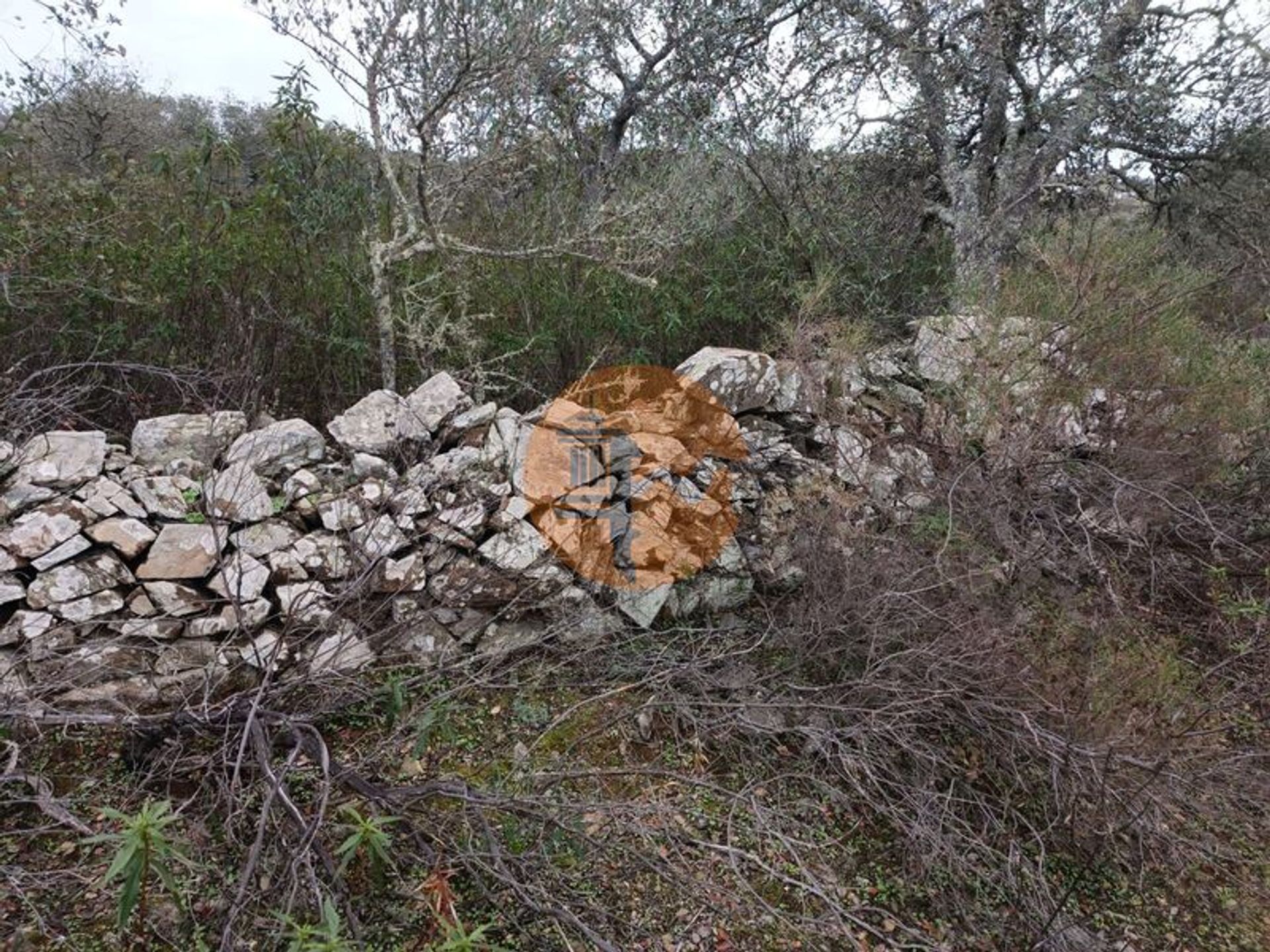 ארץ ב , Faro District 12383541