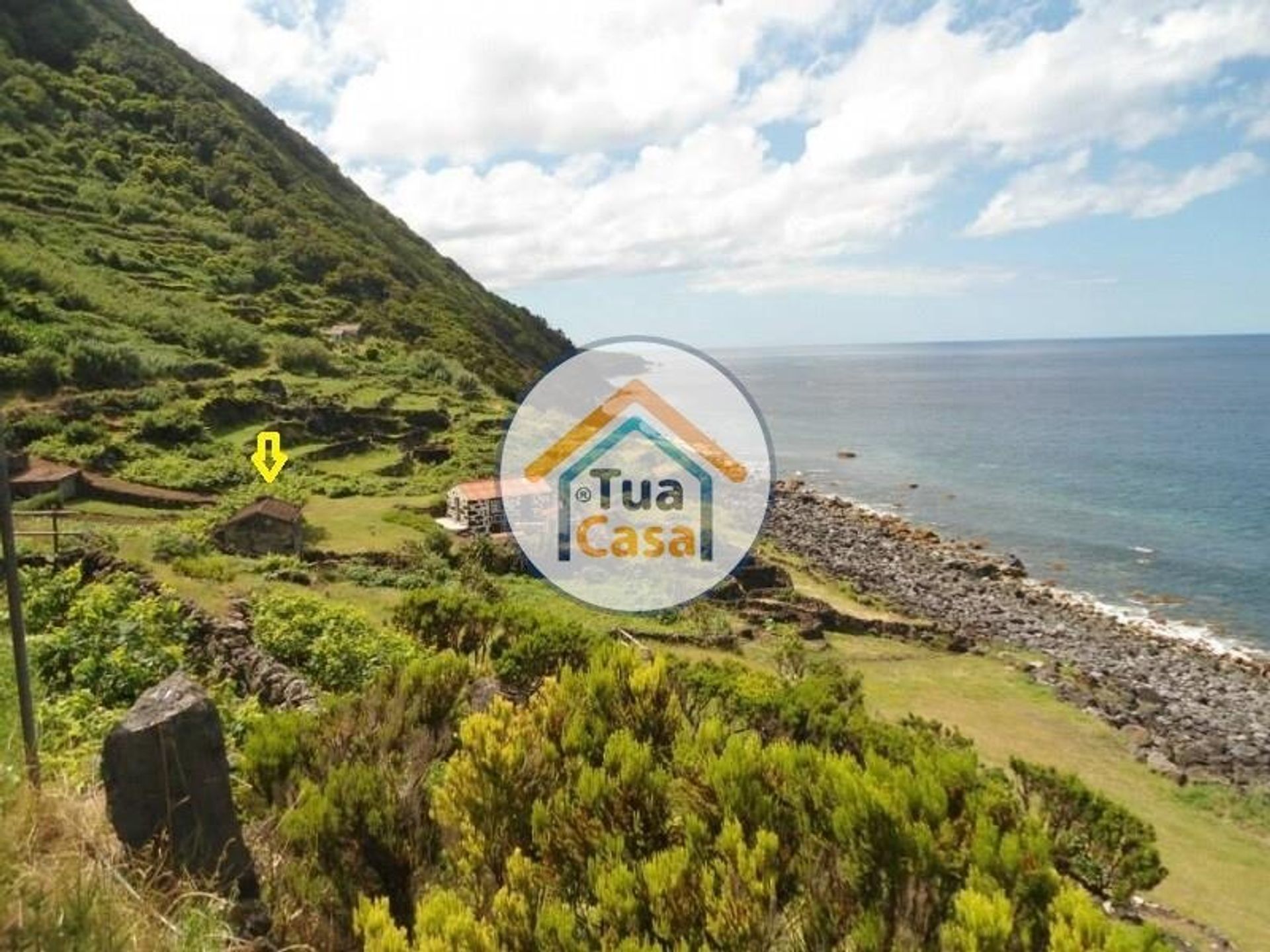 Hus i Norte Pequeno, Azores 12383825