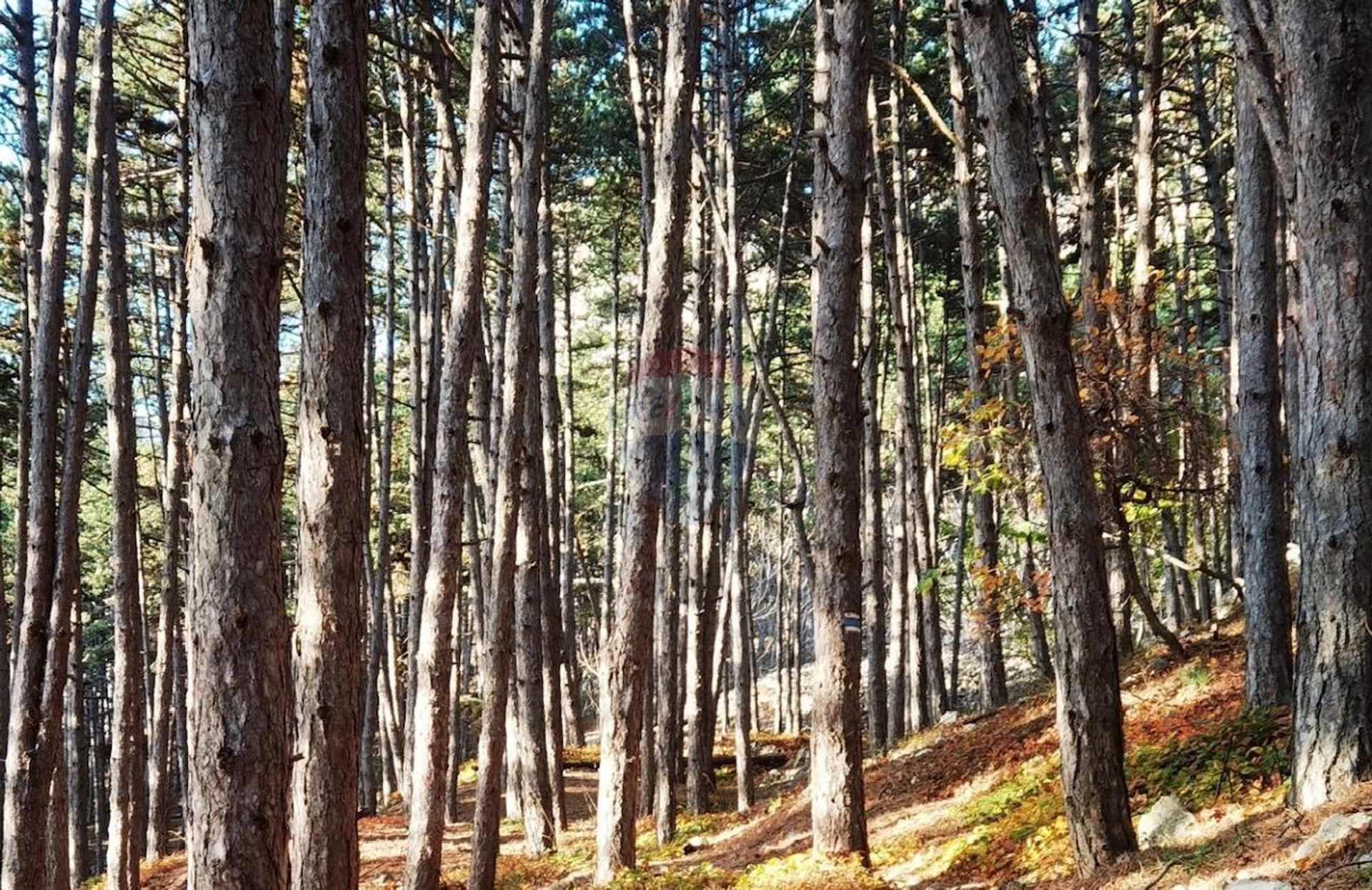 Tierra en Omisalj, Primorsko-Goranska Županija 12384301