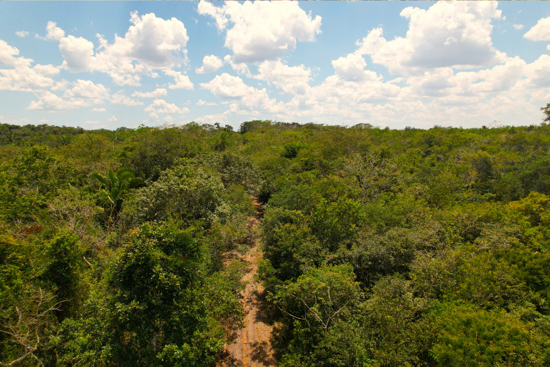 بيت في Bullet Tree Falls, Cayo 12384927