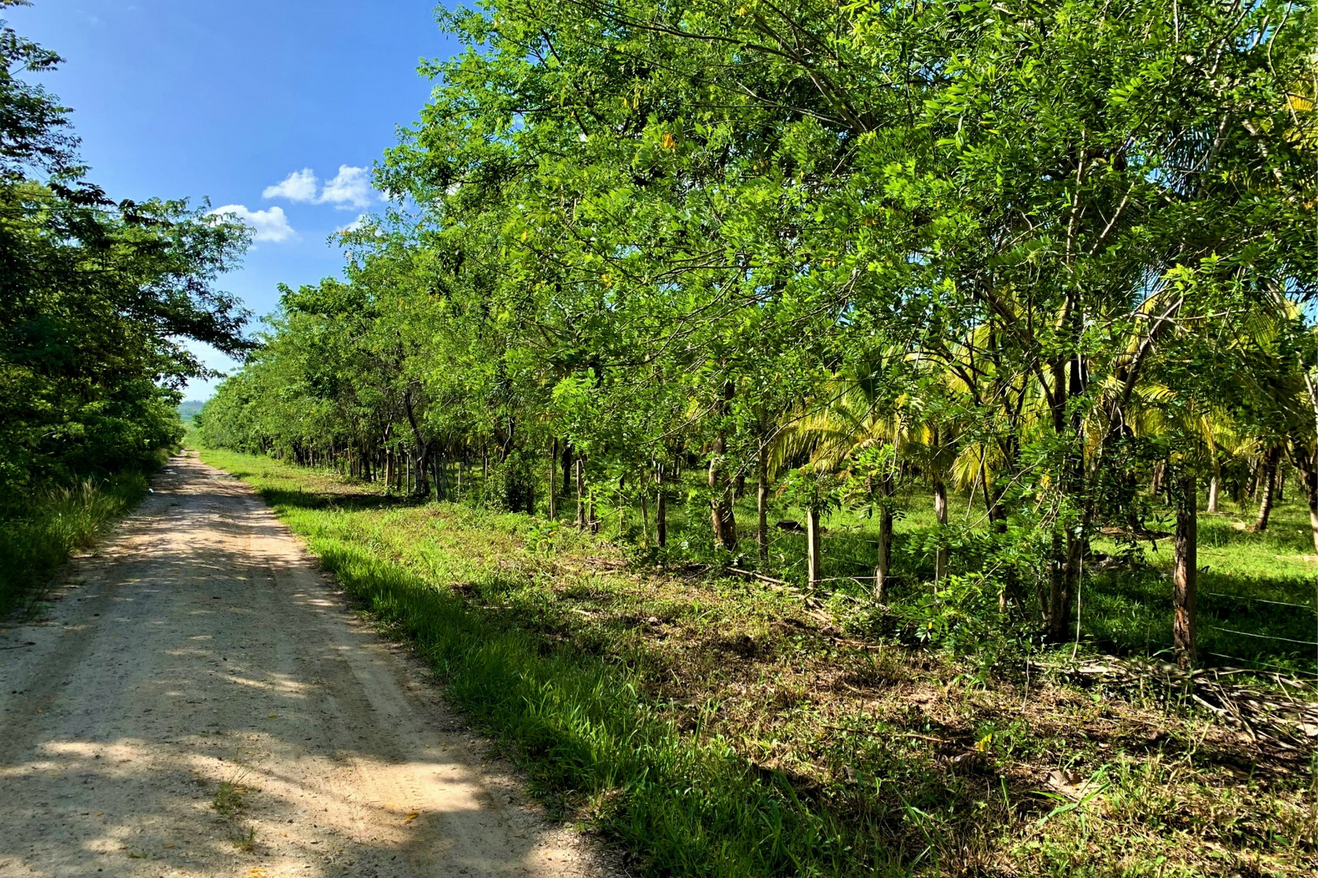 σπίτι σε Camelote, Cayo 12384931