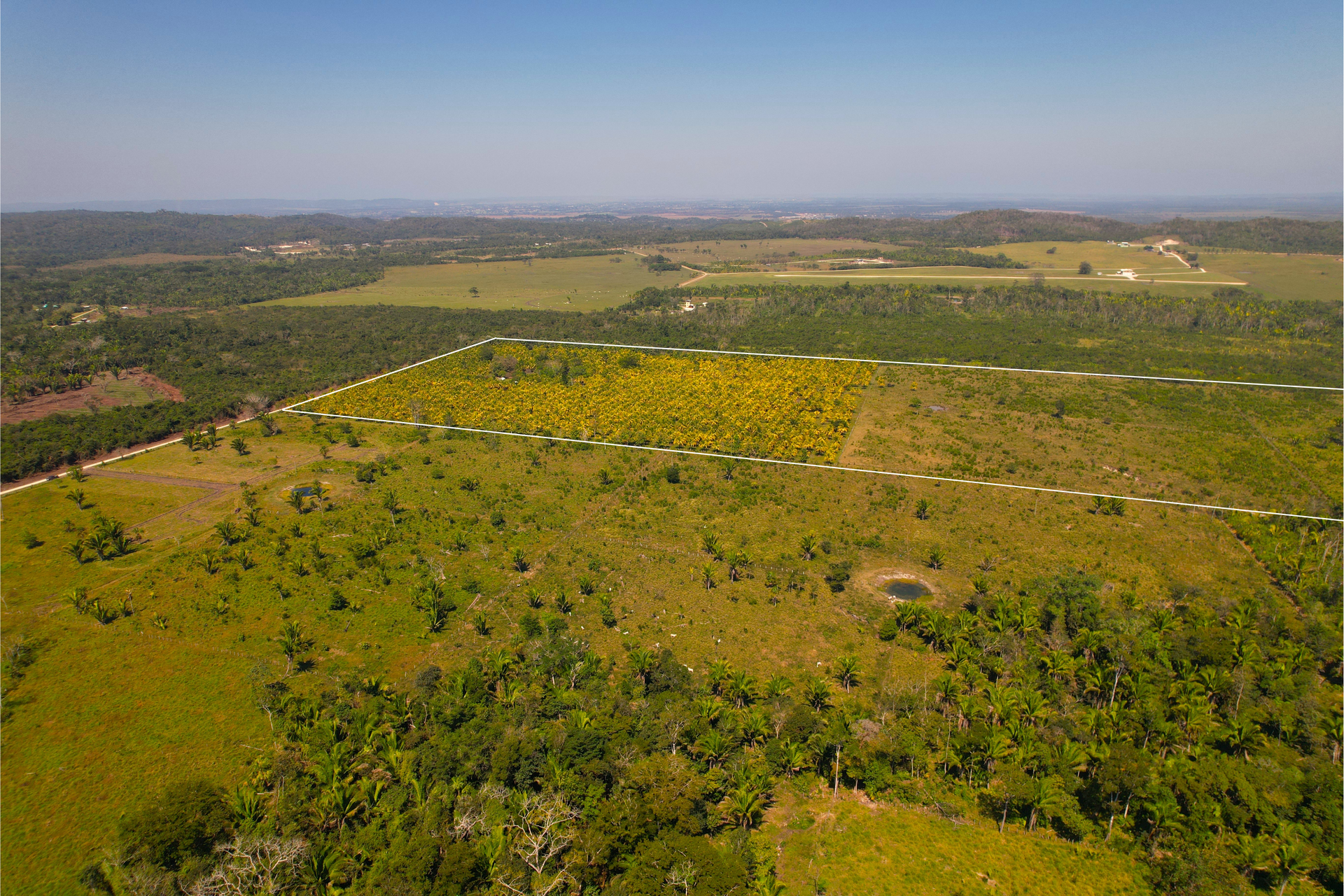 Hus i Camelote, Cayo 12384931