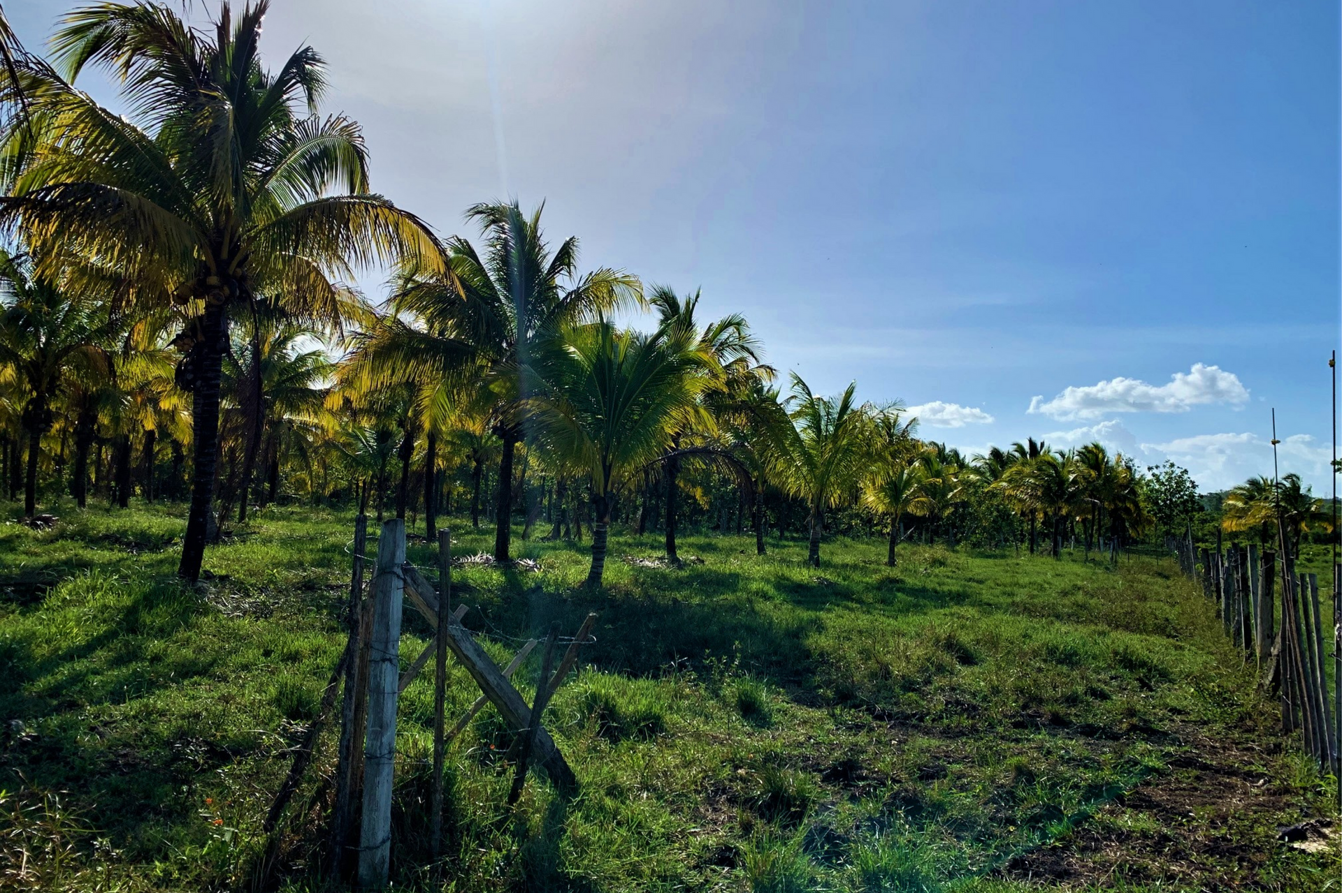 casa en Camelote, Cayo 12384931