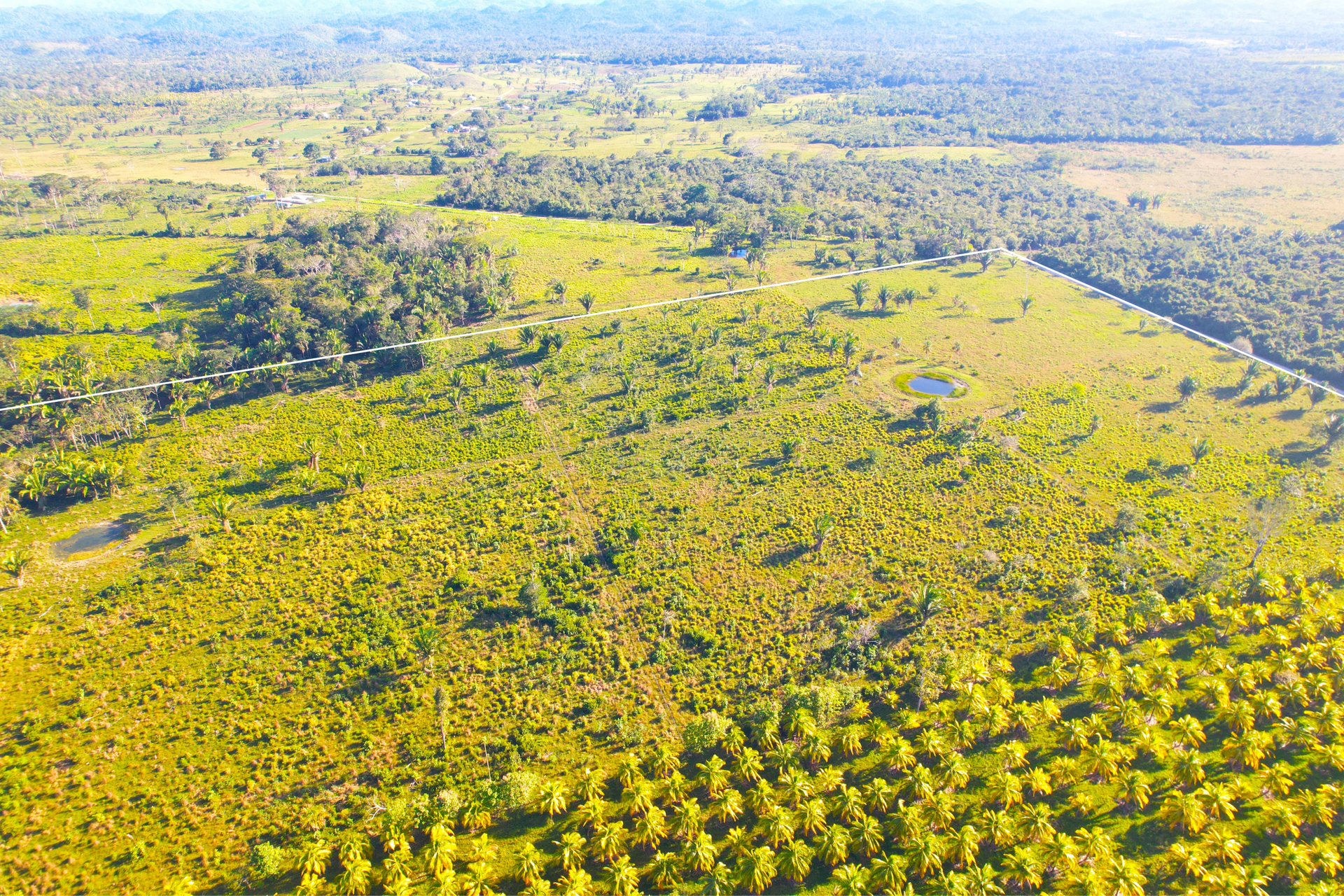 Земля в Camelote, Cayo 12384935