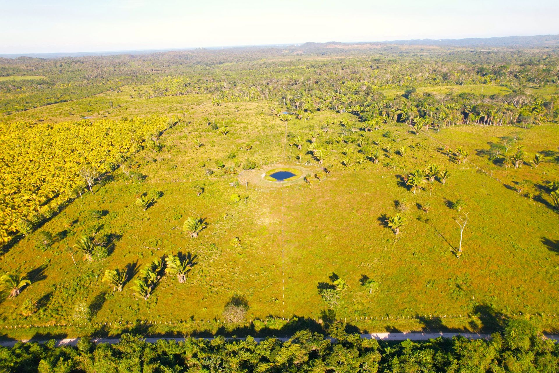 Земля в Camelote, Cayo 12384935