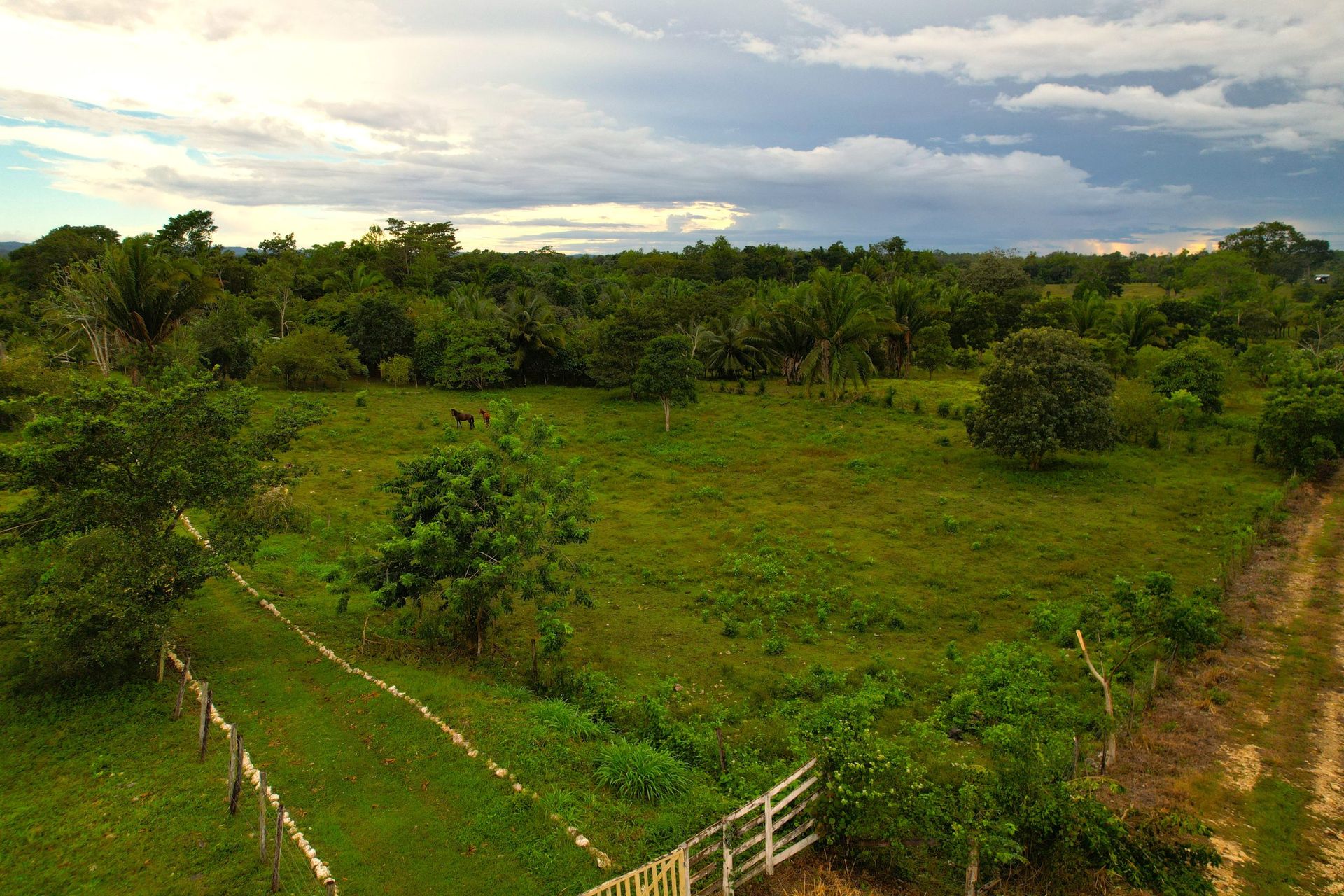 casa no Camelote, Cayo 12384936