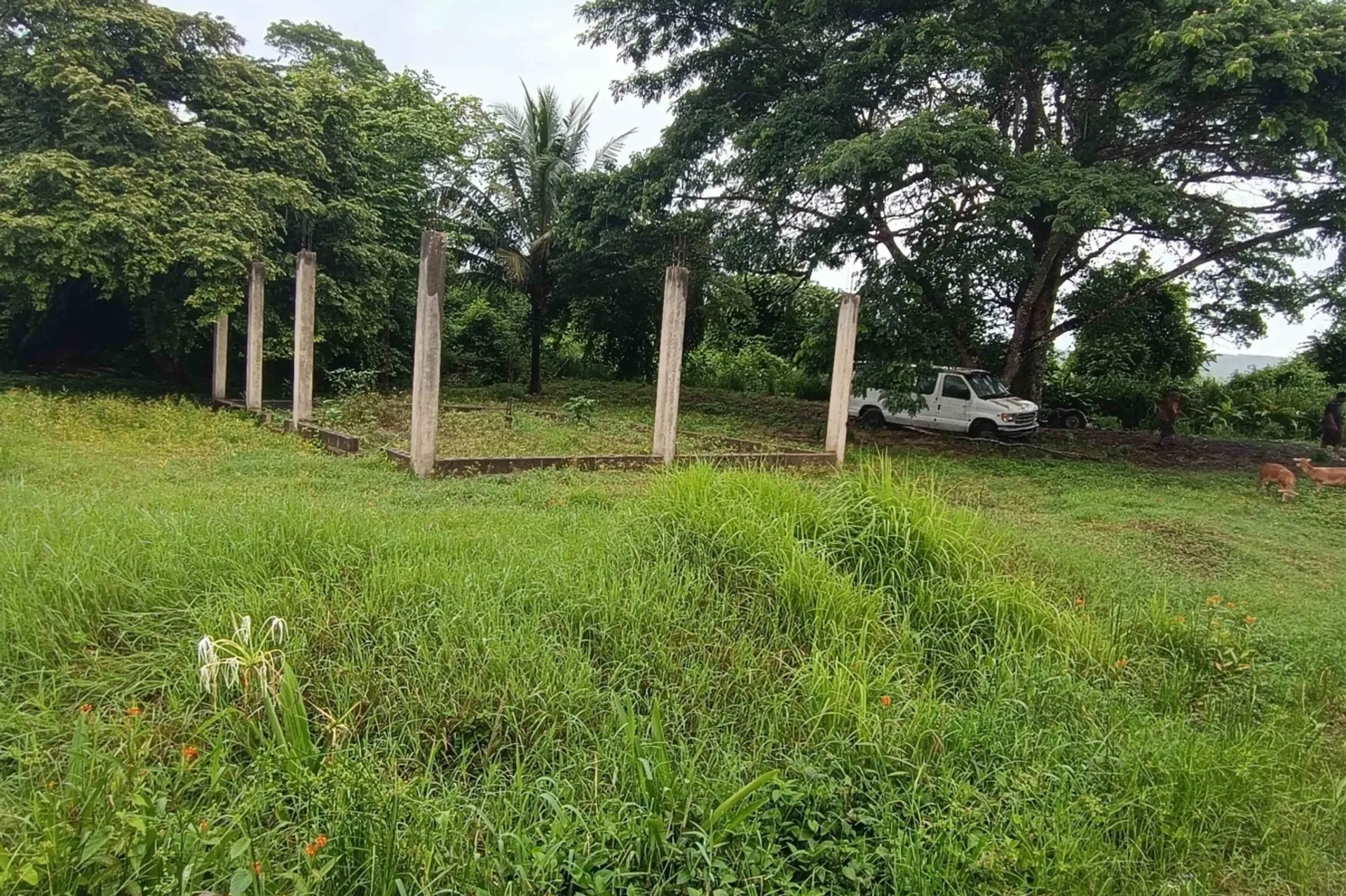 Land in San Ignacio, Cayo 12384952