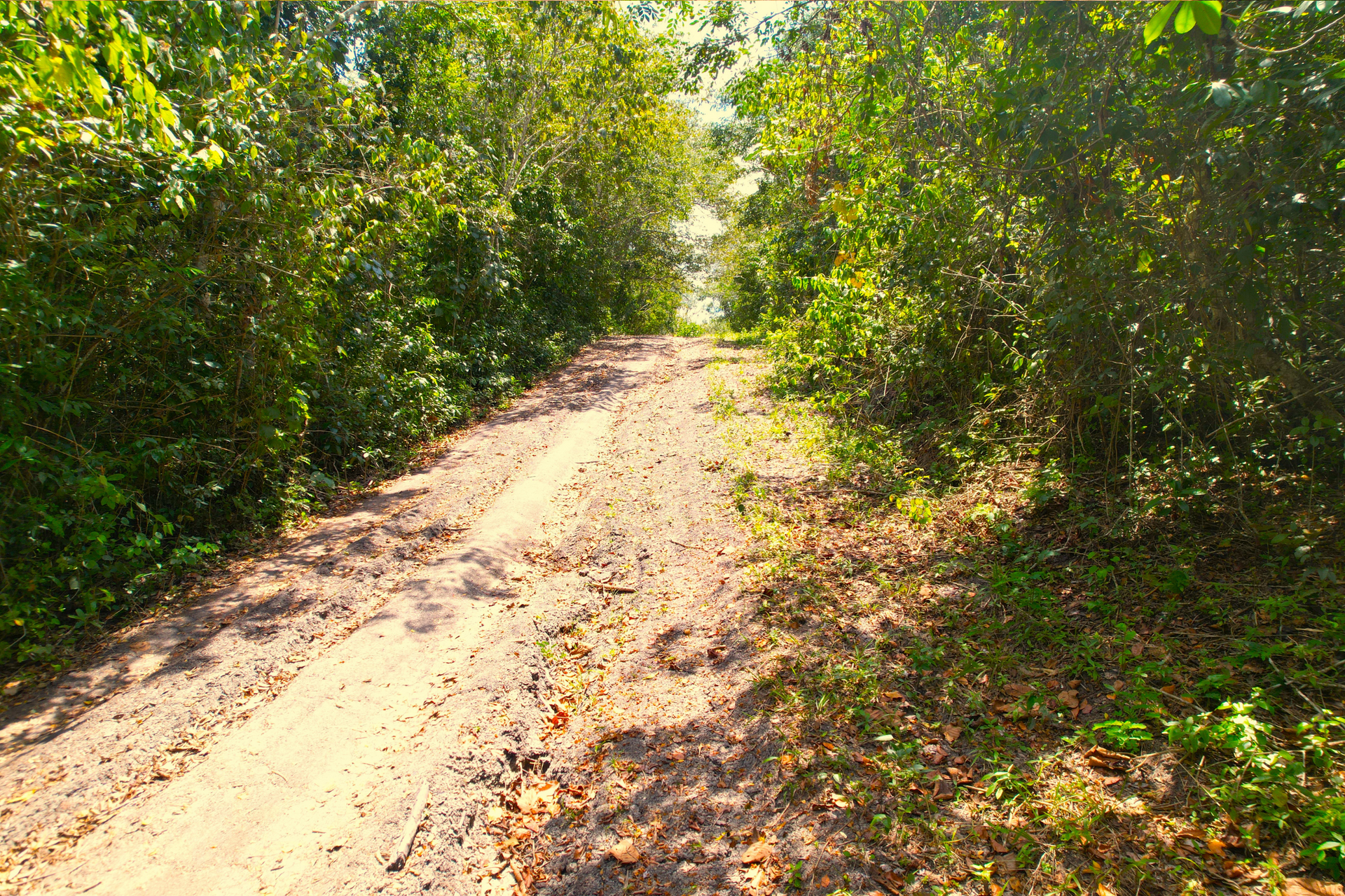 بيت في Bullet Tree Falls, Cayo 12384993