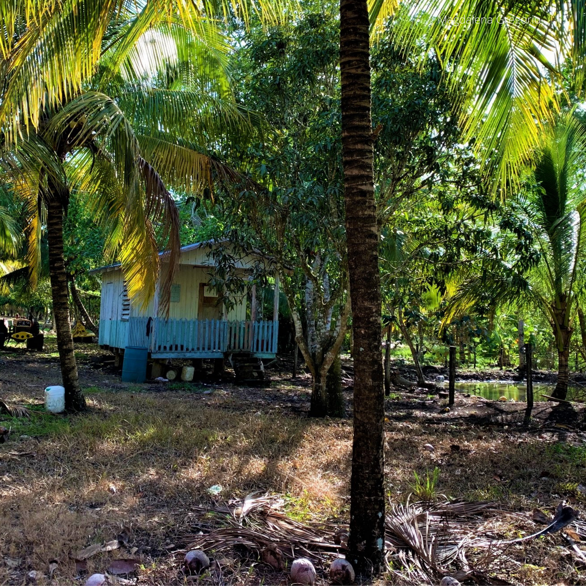 casa en Camelote, Cayo 12385025