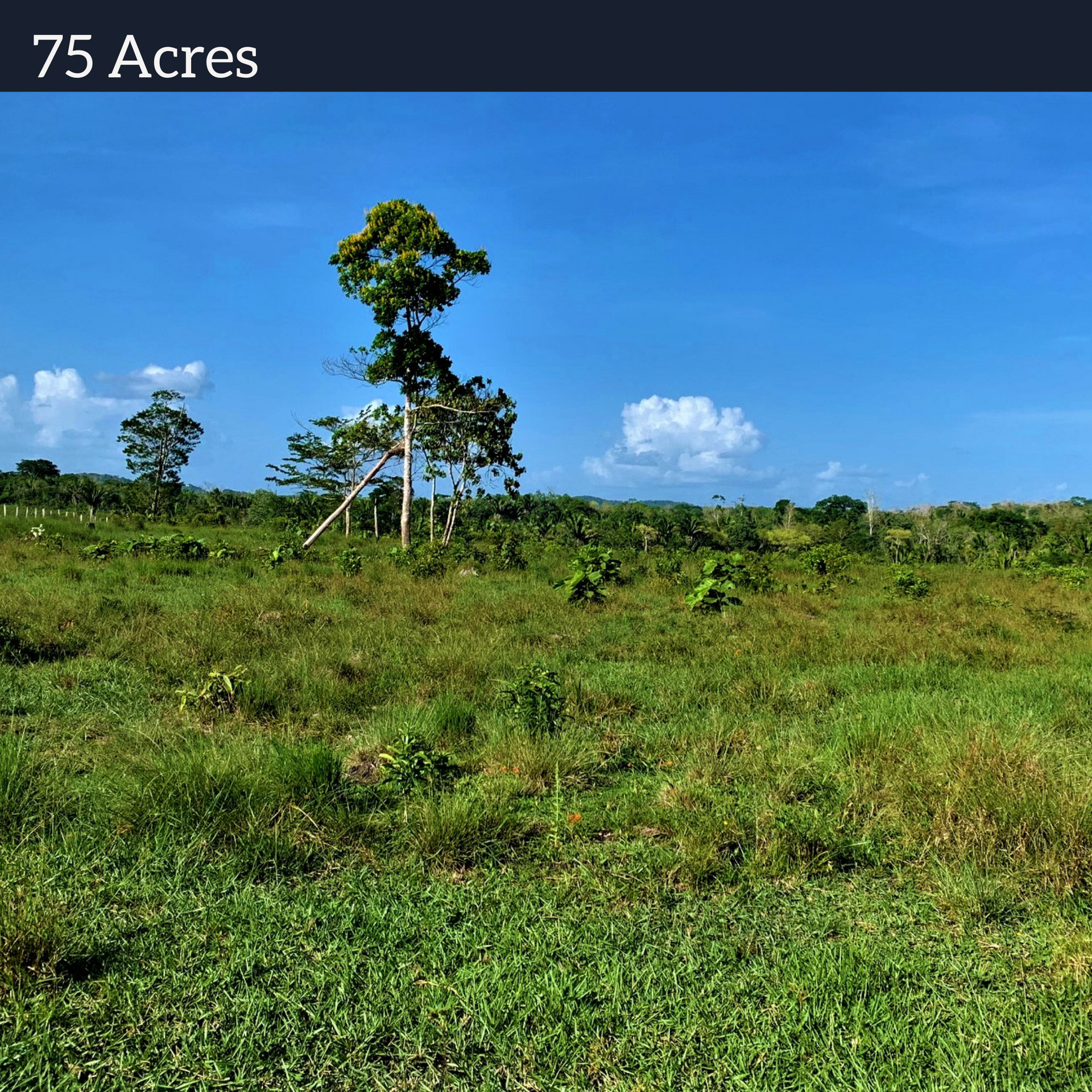 casa en Camelote, Cayo 12385025