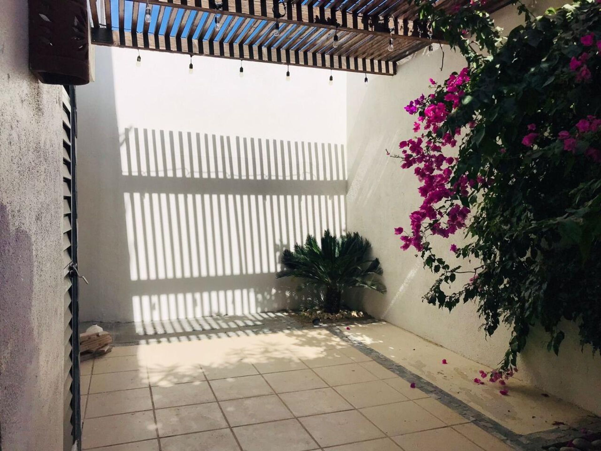 House in San José del Cabo, Baja California Sur 12386066