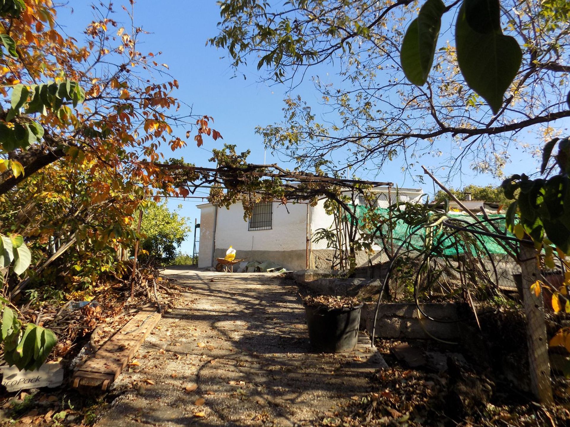 House in Coín, Andalusia 12386587