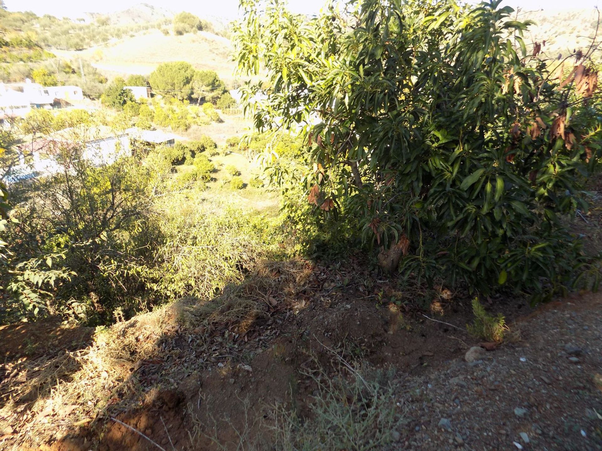 House in Coín, Andalusia 12386587