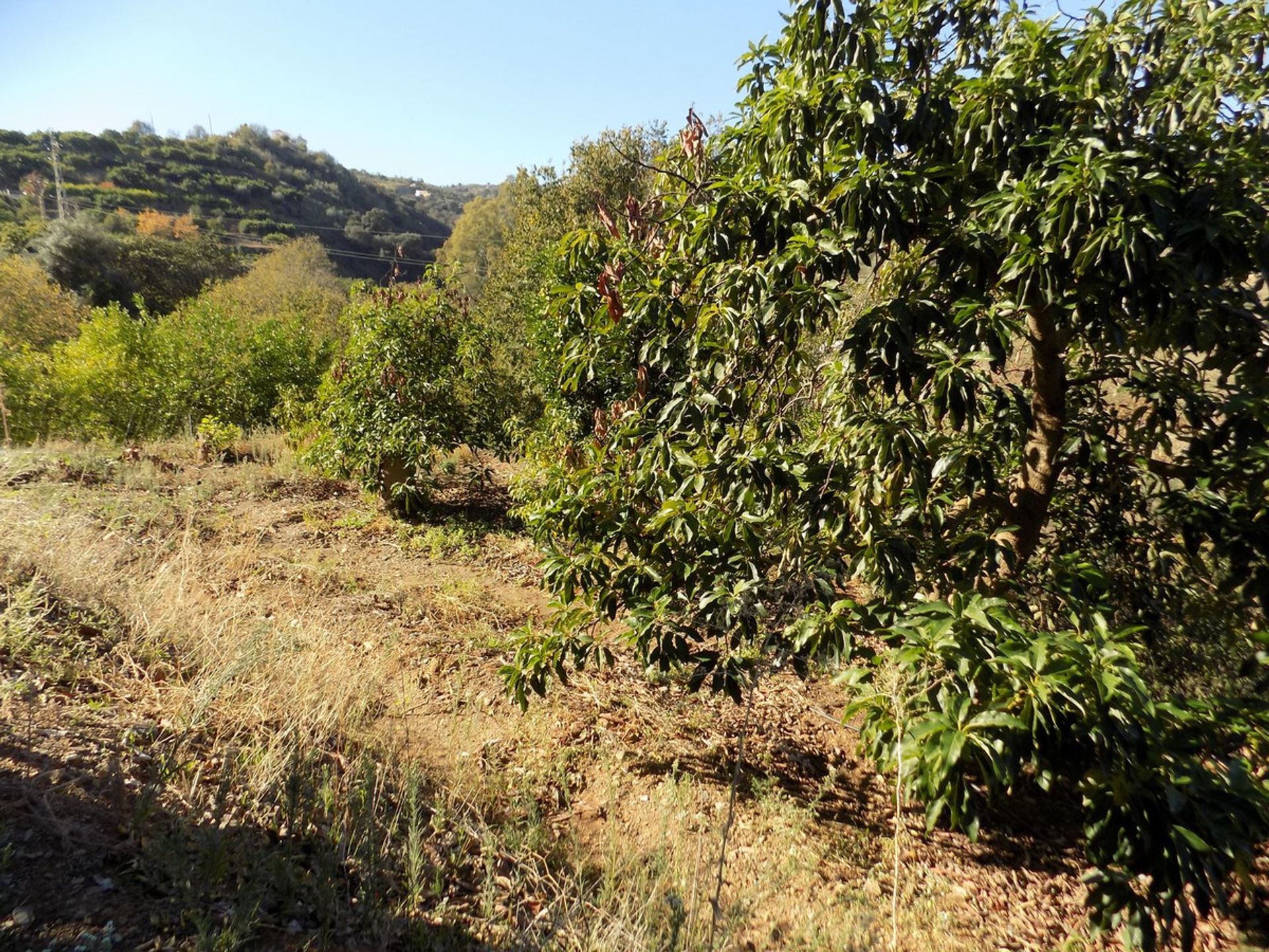 loger dans Coín, Andalusia 12386667