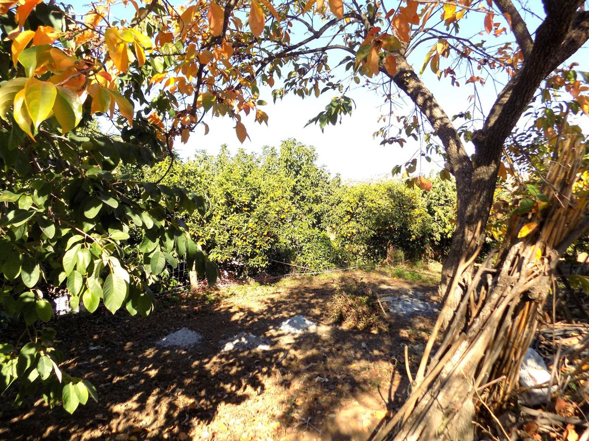 loger dans Coín, Andalusia 12386667