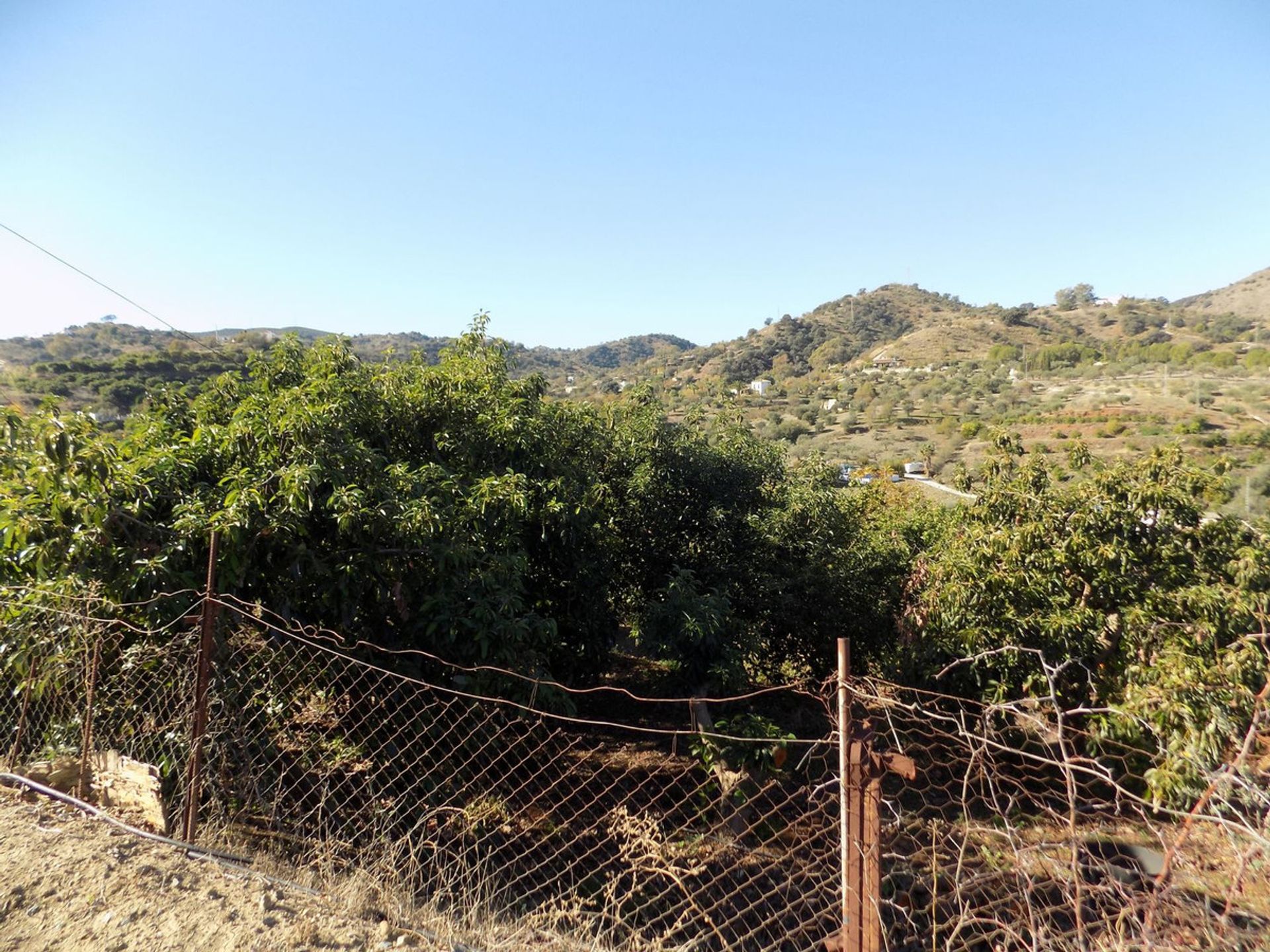 loger dans Coín, Andalusia 12386667