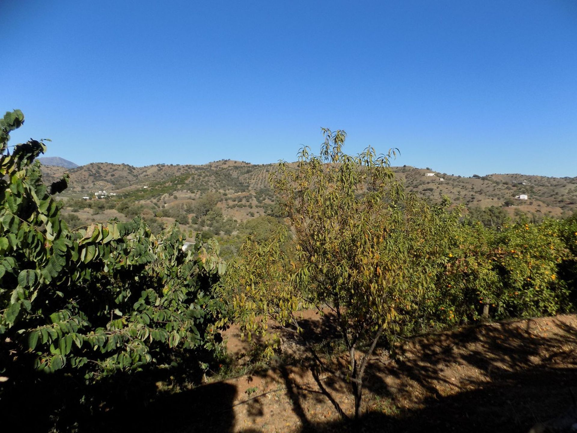 loger dans Coín, Andalusia 12386667