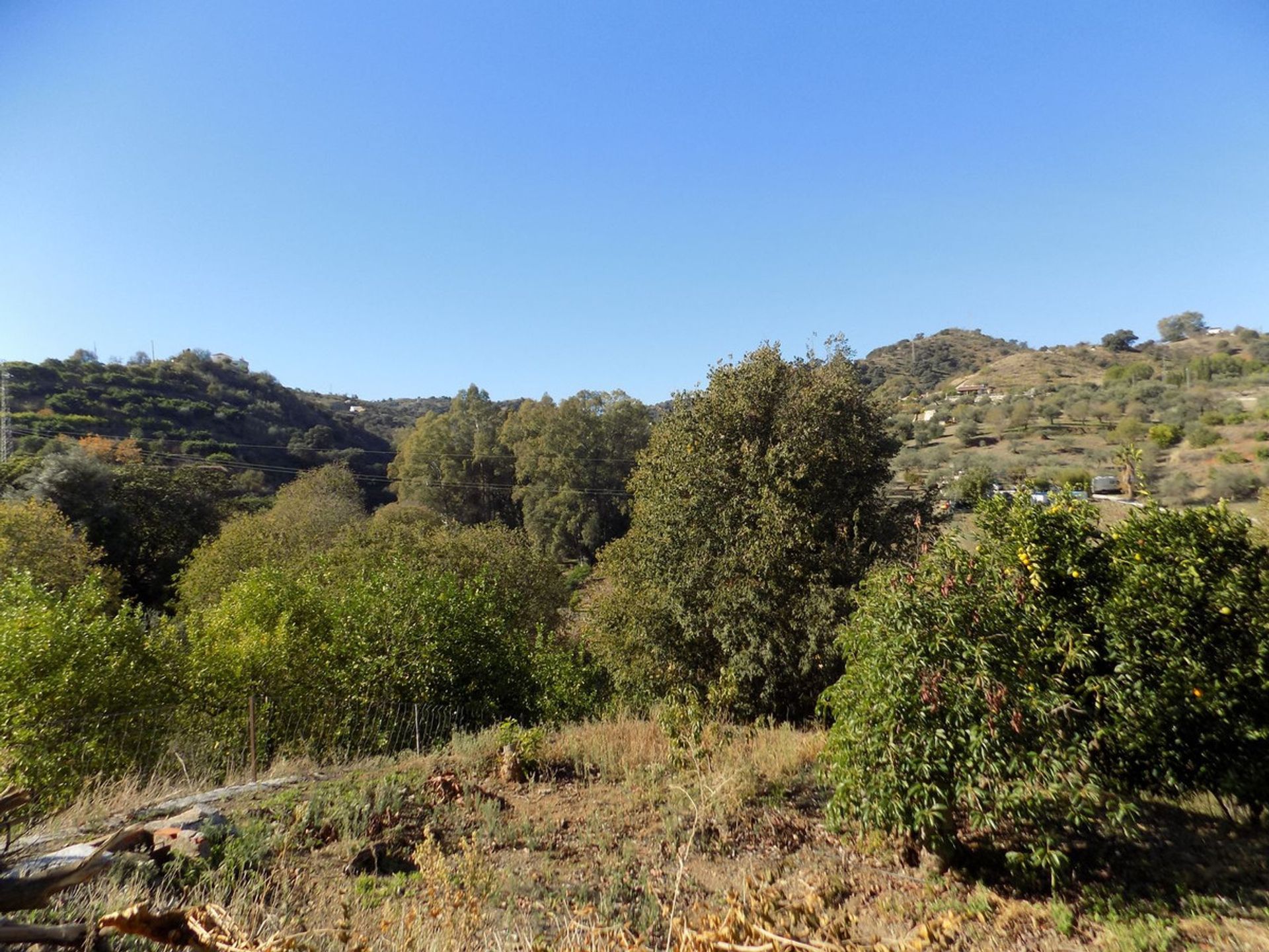 loger dans Coín, Andalusia 12386667