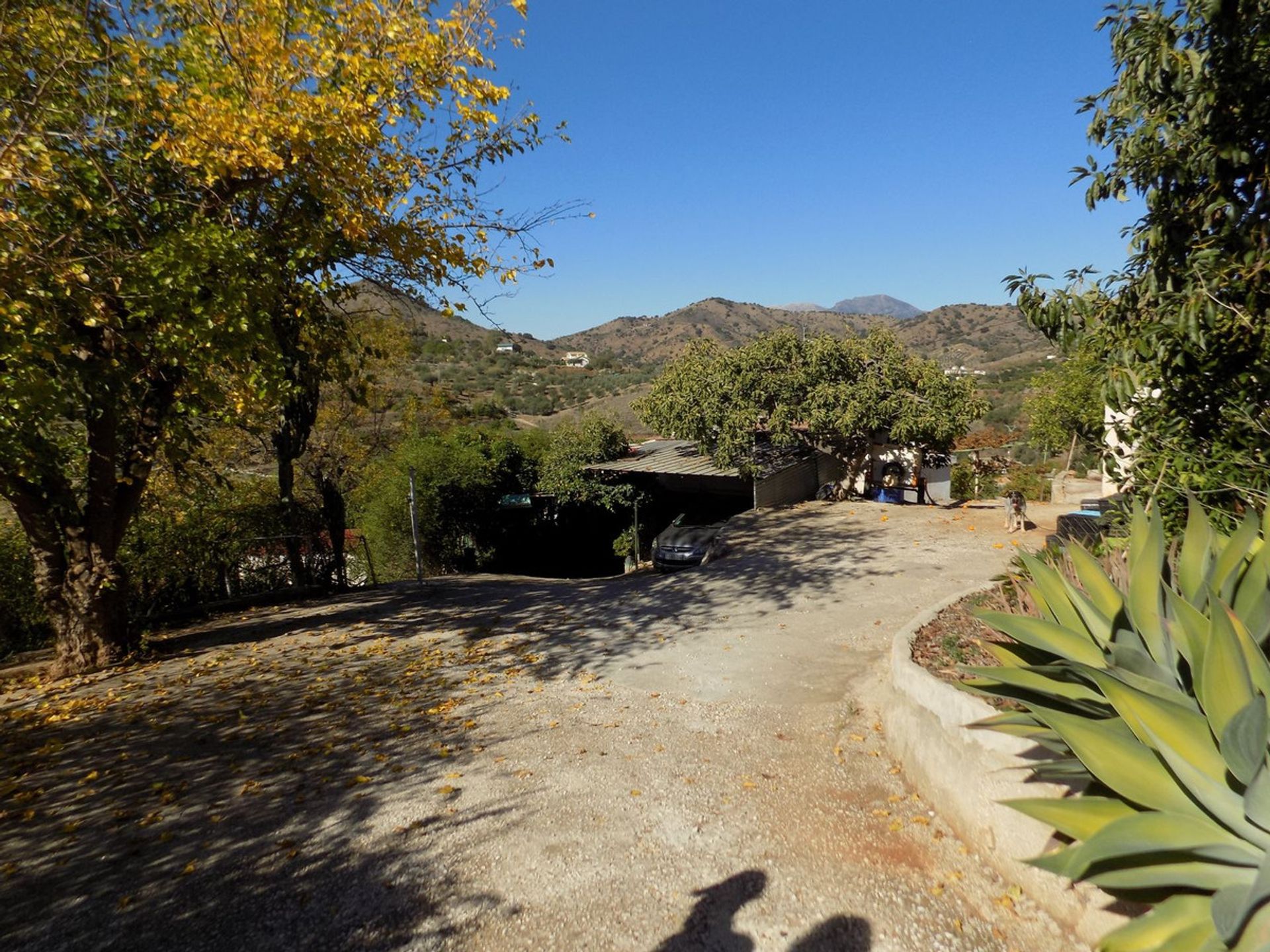 loger dans Coín, Andalusia 12386667