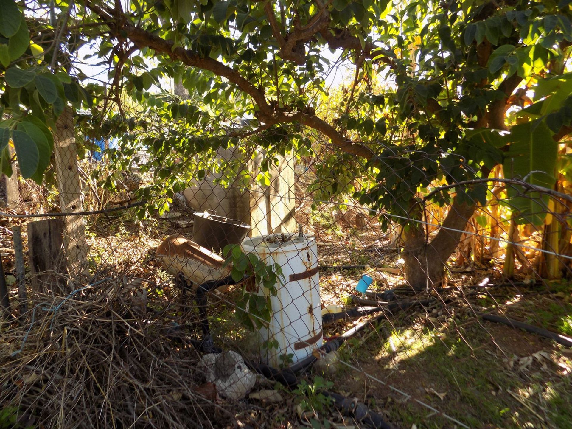 loger dans Coín, Andalusia 12386667