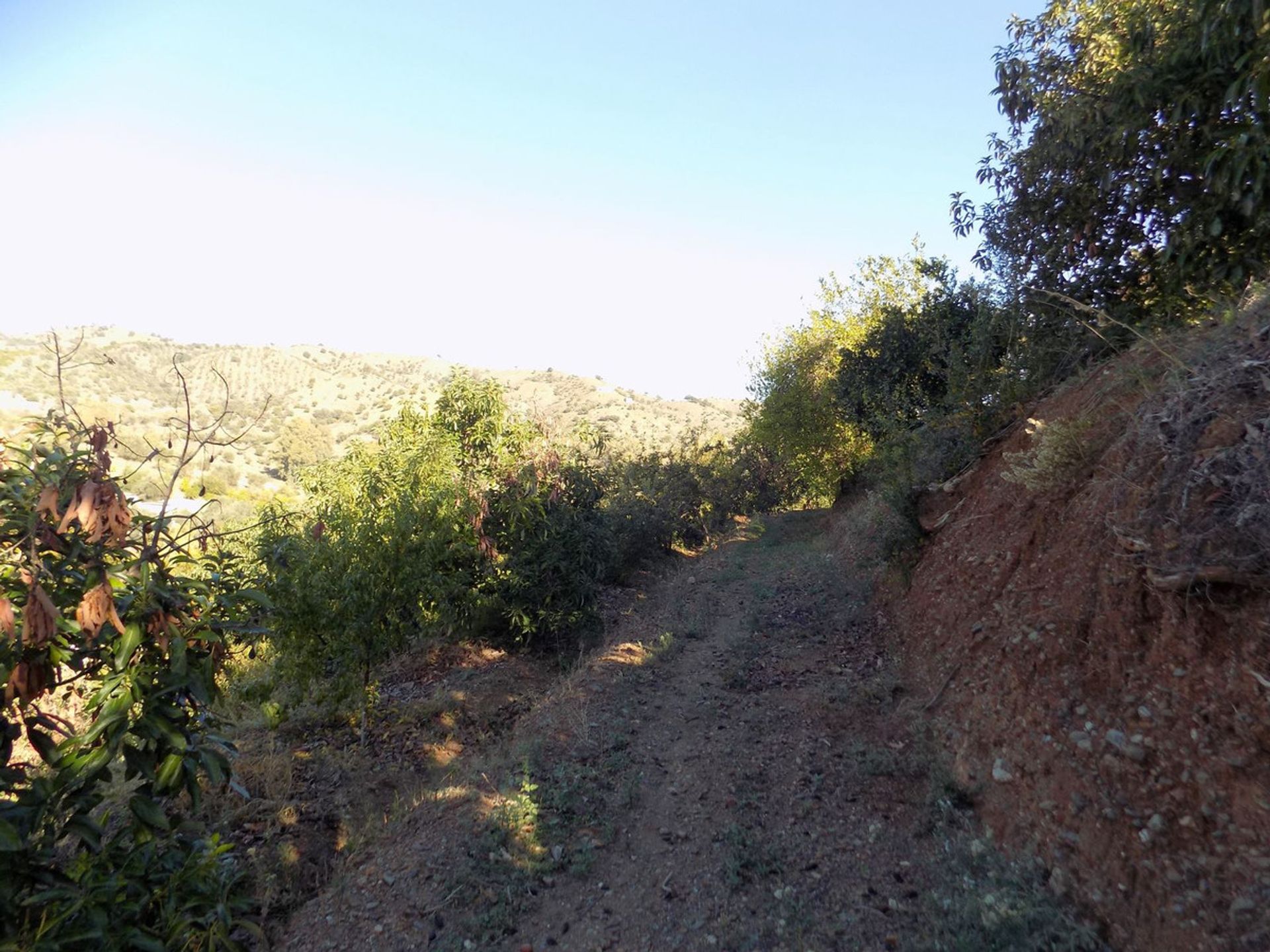 loger dans Coín, Andalusia 12386667