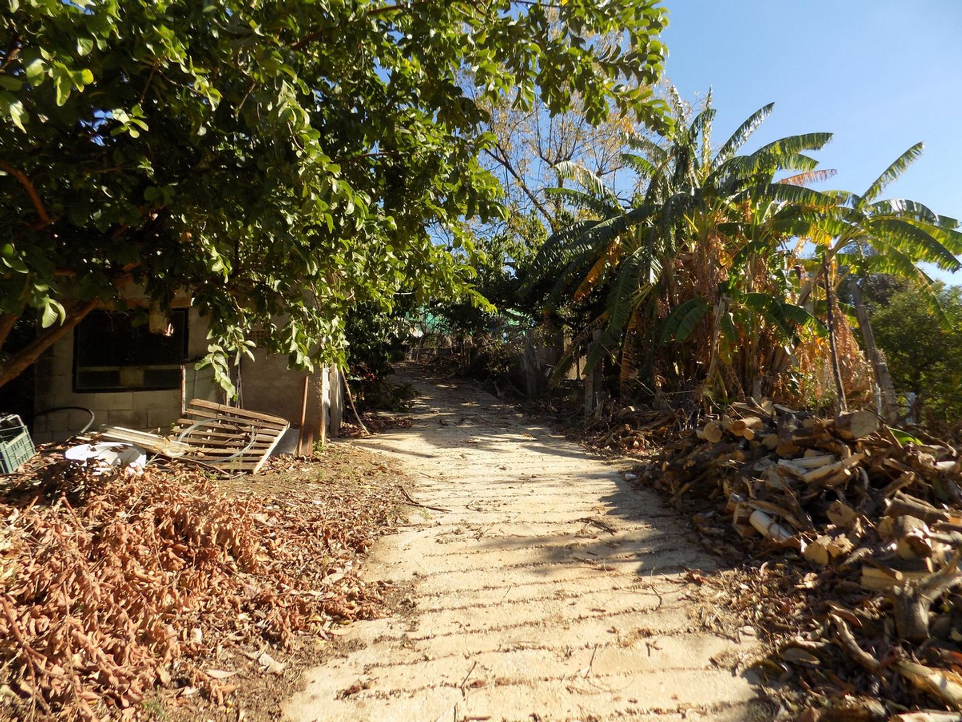 loger dans Coín, Andalusia 12386667