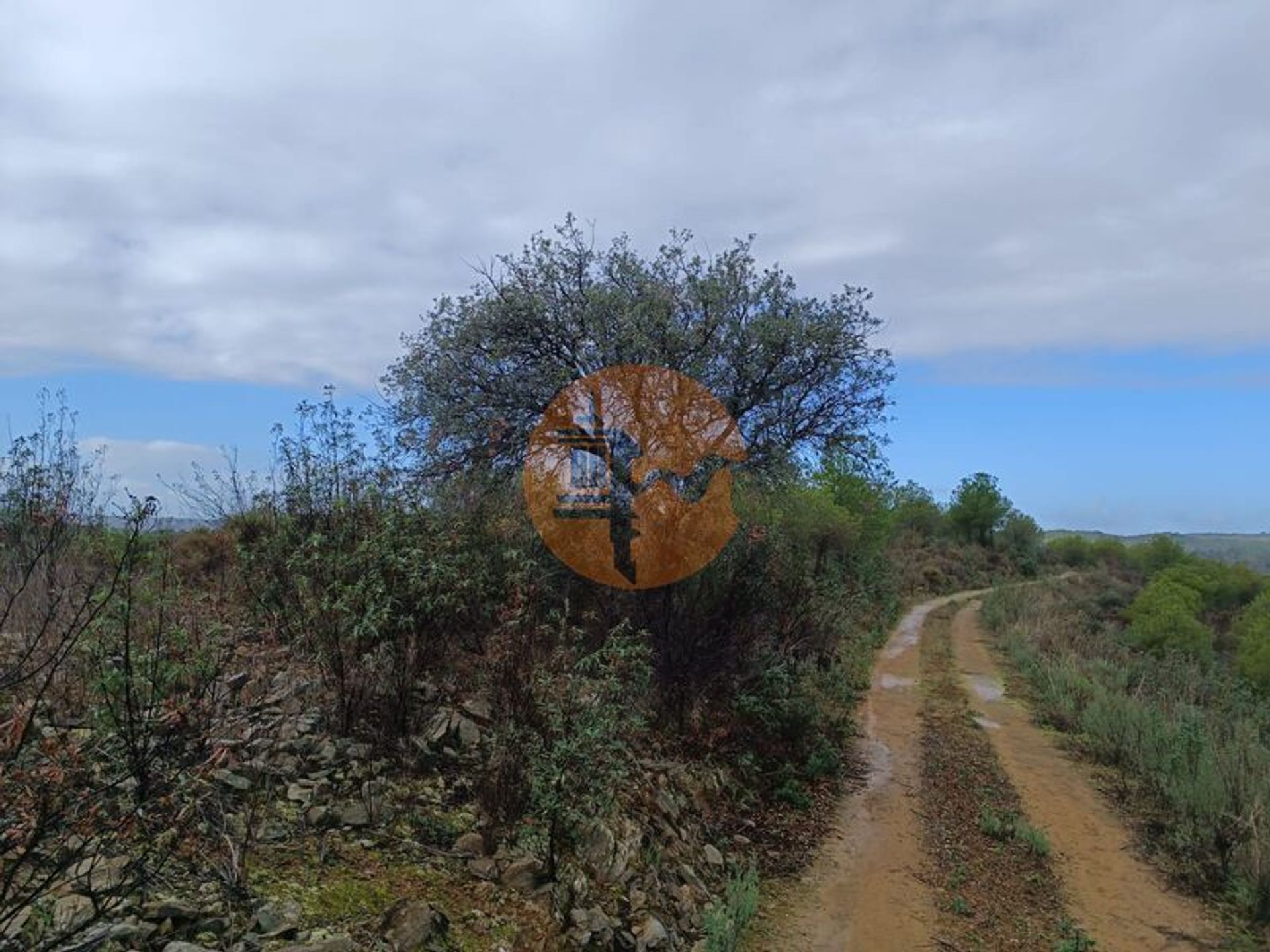 ארץ ב , Faro District 12387841