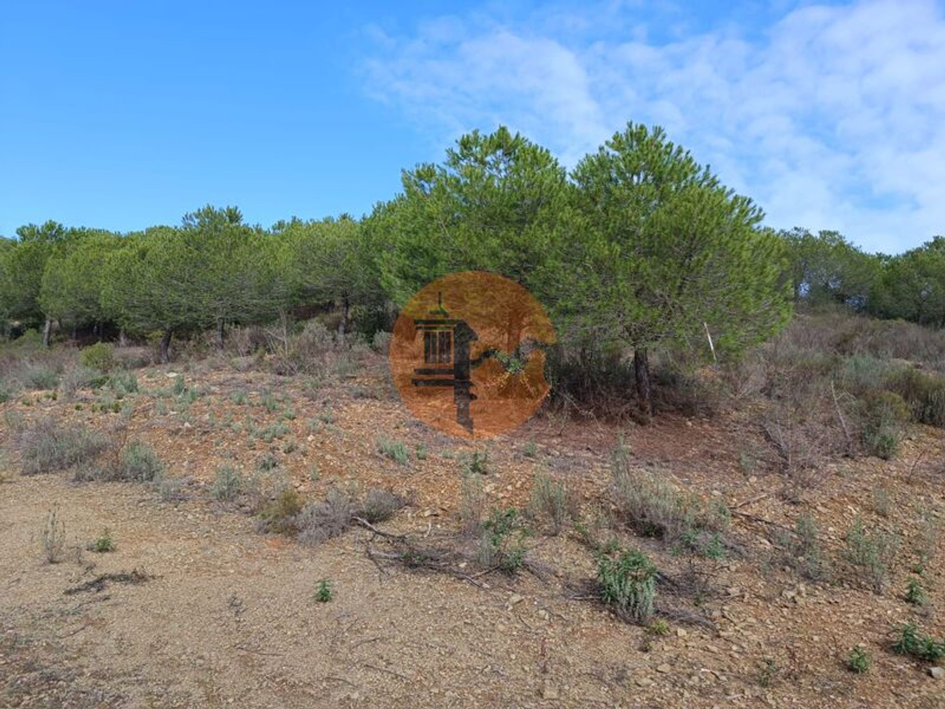 Land in Alcoutim, Faro 12387842