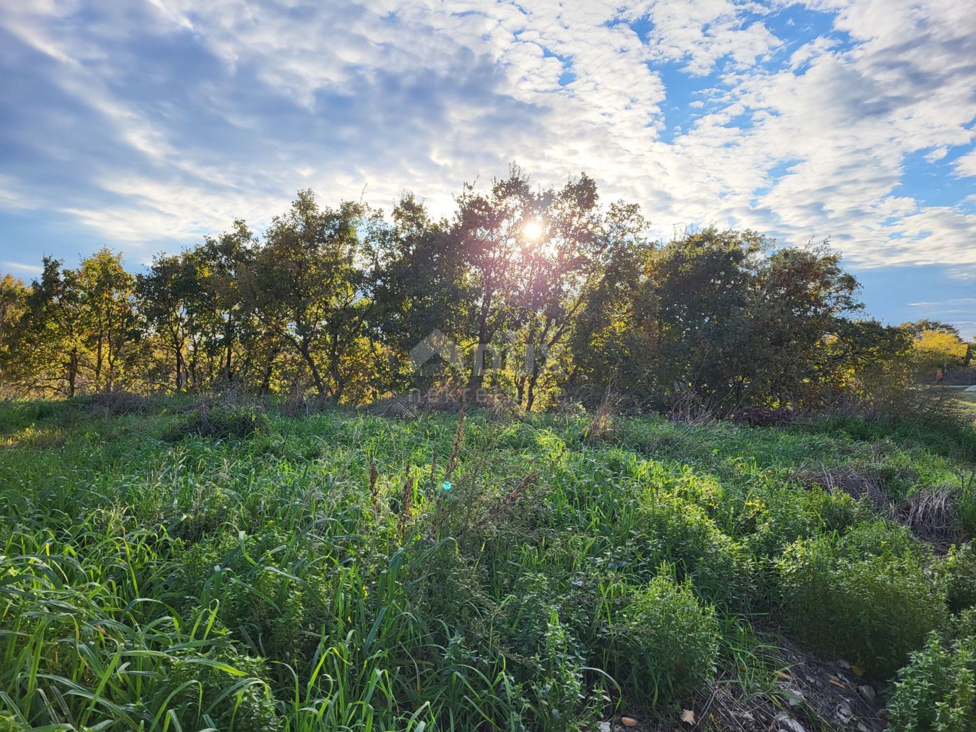 Land in Kanfanar, Istarska Zupanija 12387969