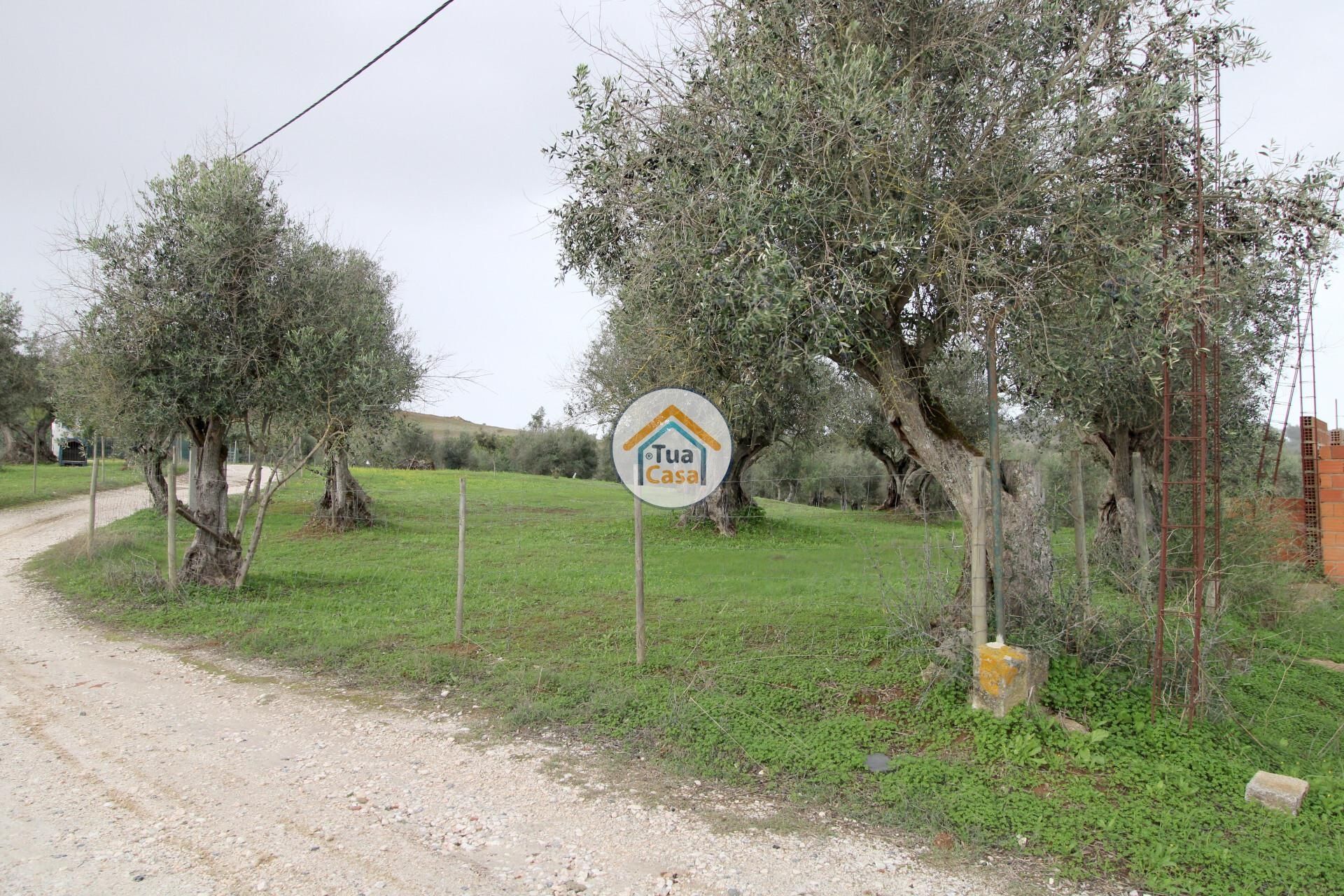 Land in Redondo, Evora 12388246