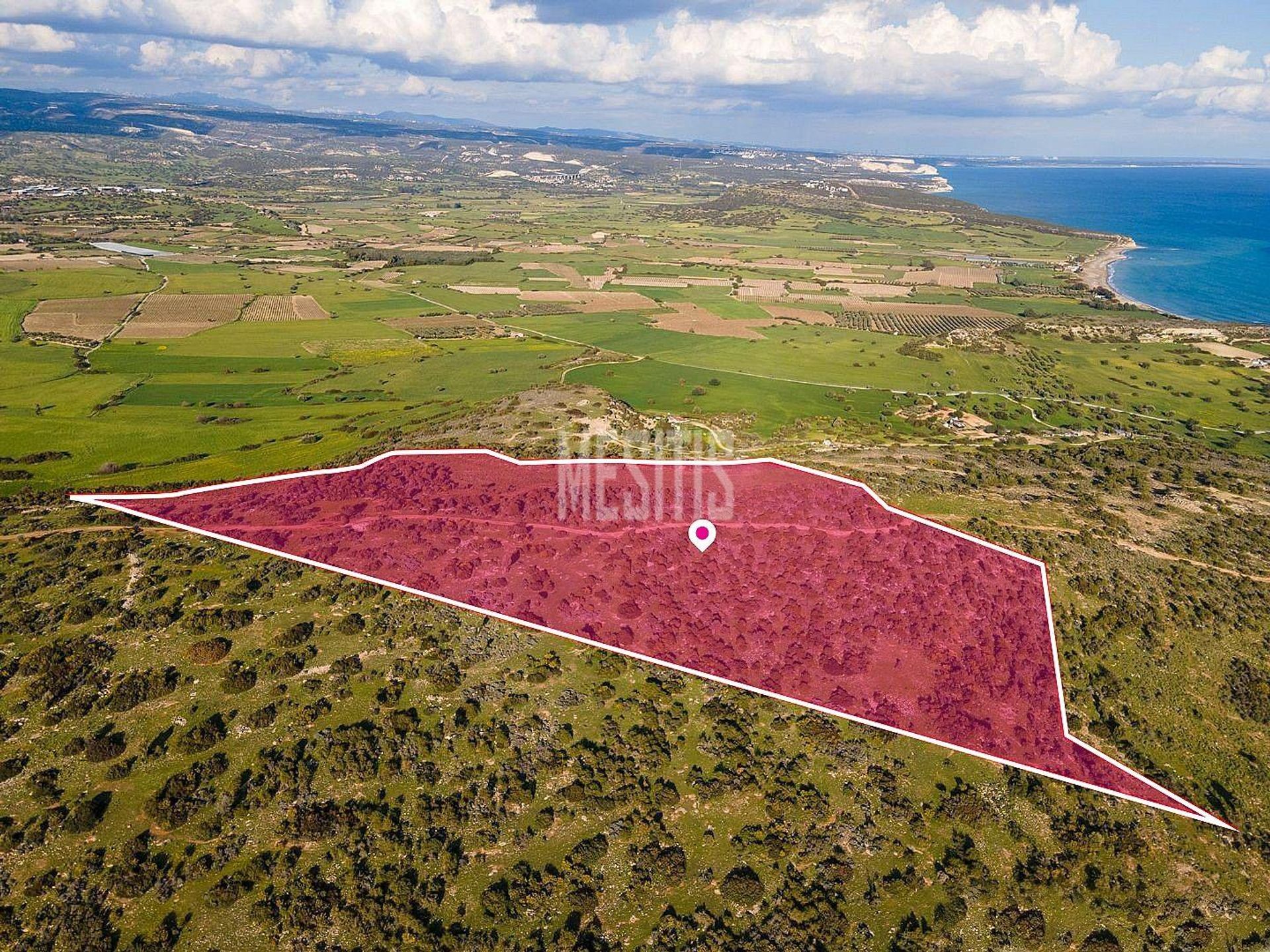 Land im Pampoula, Lemesos 12388763