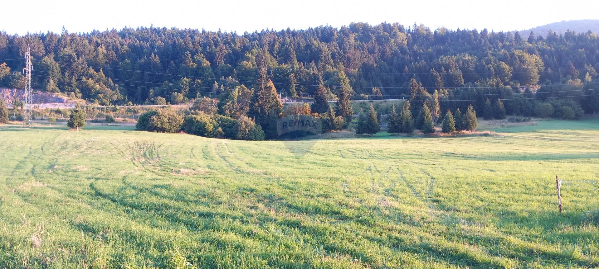 Hus i Stara Sušica, Primorsko-goranska županija 12390398