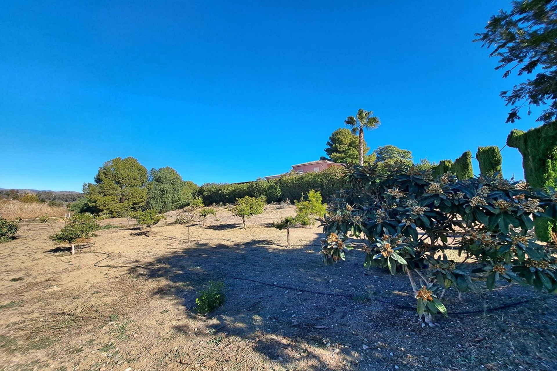 Rumah di Coín, Andalusia 12393690